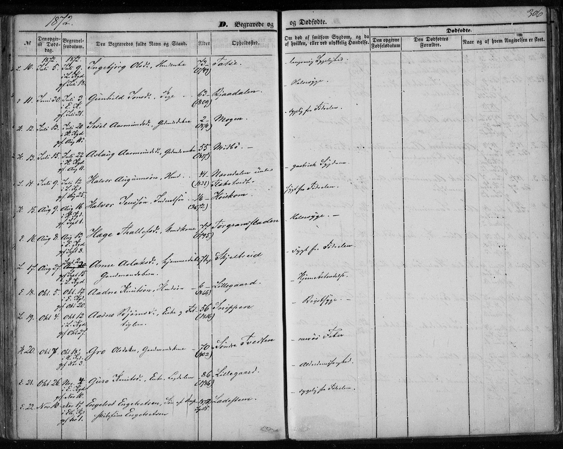 Lårdal kirkebøker, SAKO/A-284/F/Fa/L0006: Parish register (official) no. I 6, 1861-1886, p. 306