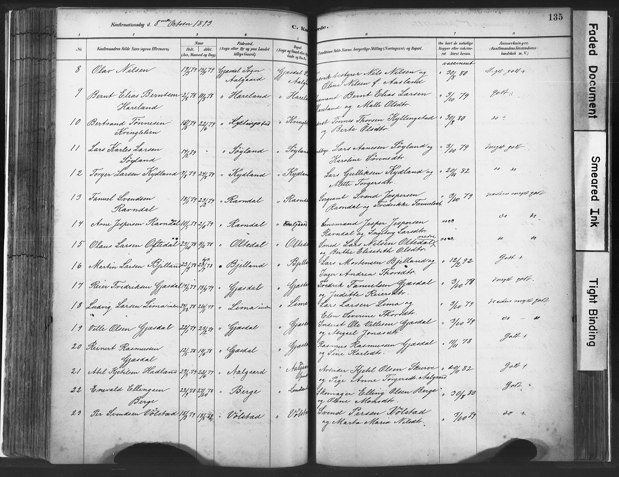 Lye sokneprestkontor, AV/SAST-A-101794/001/30BA/L0010: Parish register (official) no. A 10, 1881-1896, p. 135