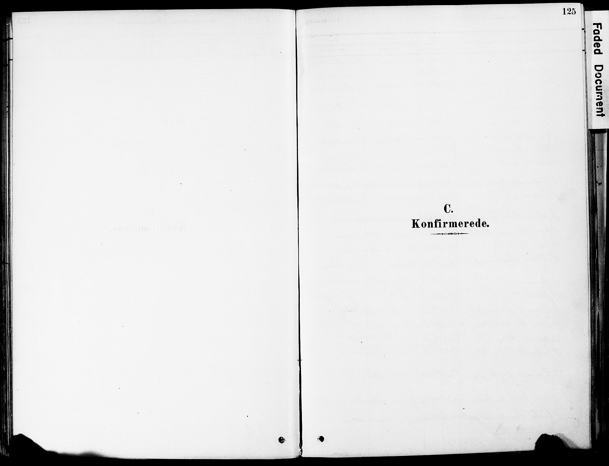 Strømm kirkebøker, AV/SAKO-A-322/F/Fa/L0004: Parish register (official) no. I 4, 1878-1899, p. 125