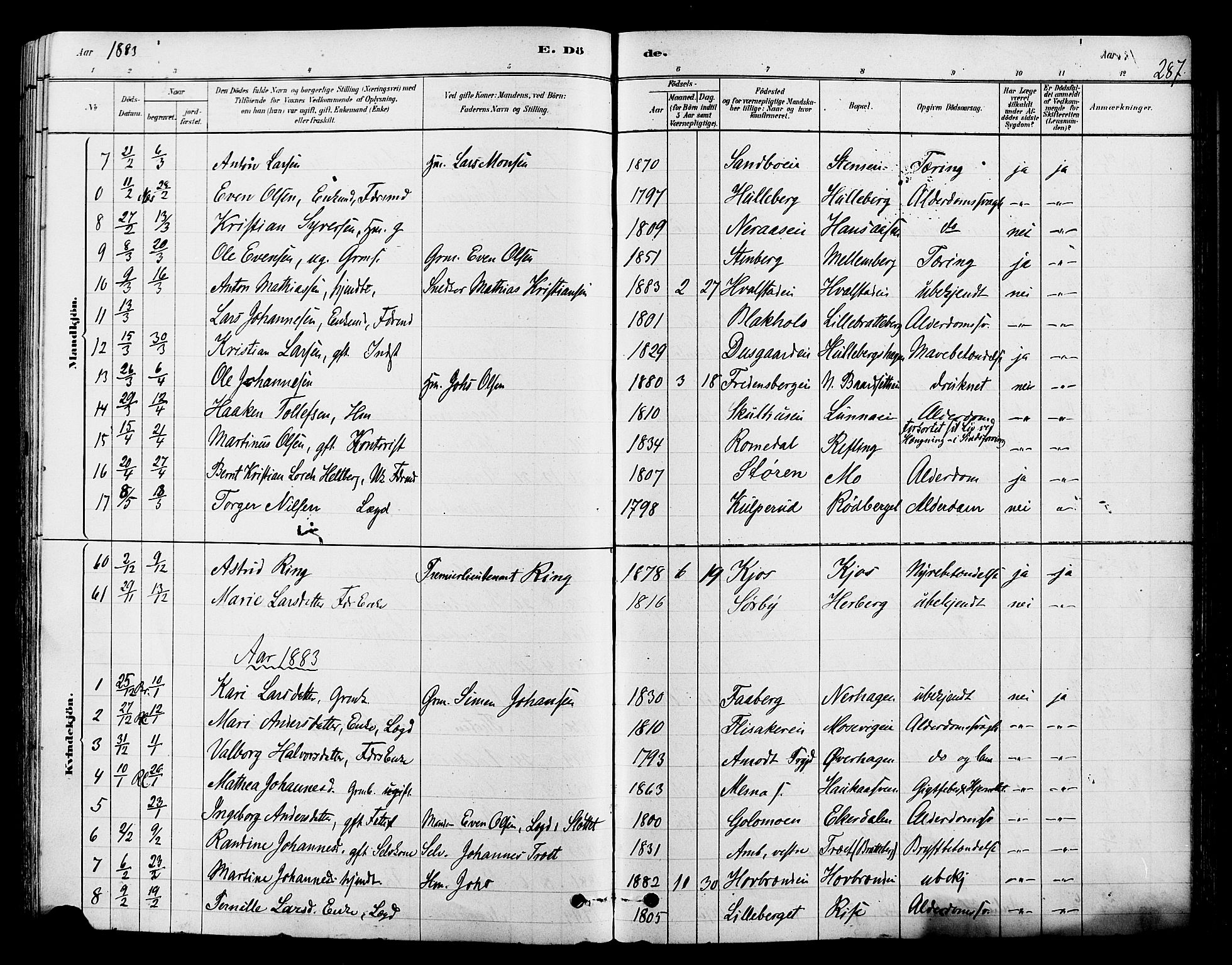 Ringsaker prestekontor, AV/SAH-PREST-014/L/La/L0009: Parish register (copy) no. 9, 1879-1890, p. 287