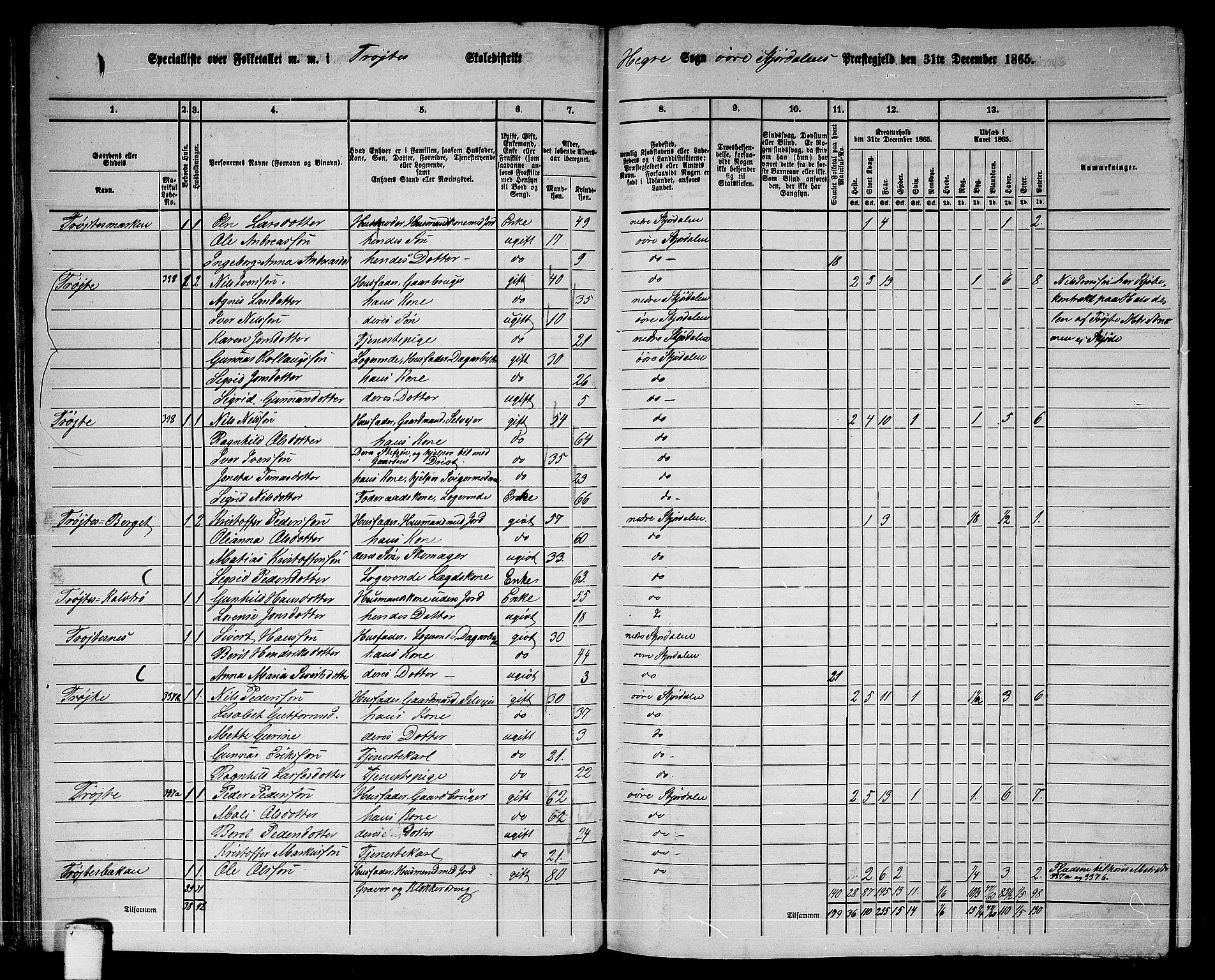 RA, 1865 census for Øvre Stjørdal, 1865, p. 50