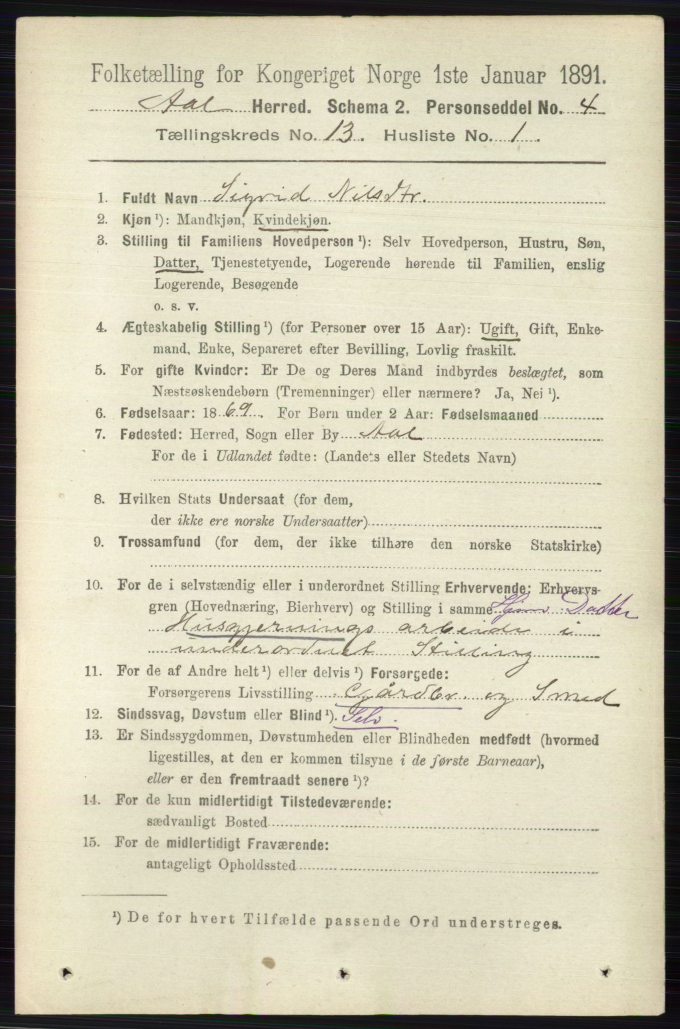 RA, 1891 census for 0619 Ål, 1891, p. 3261