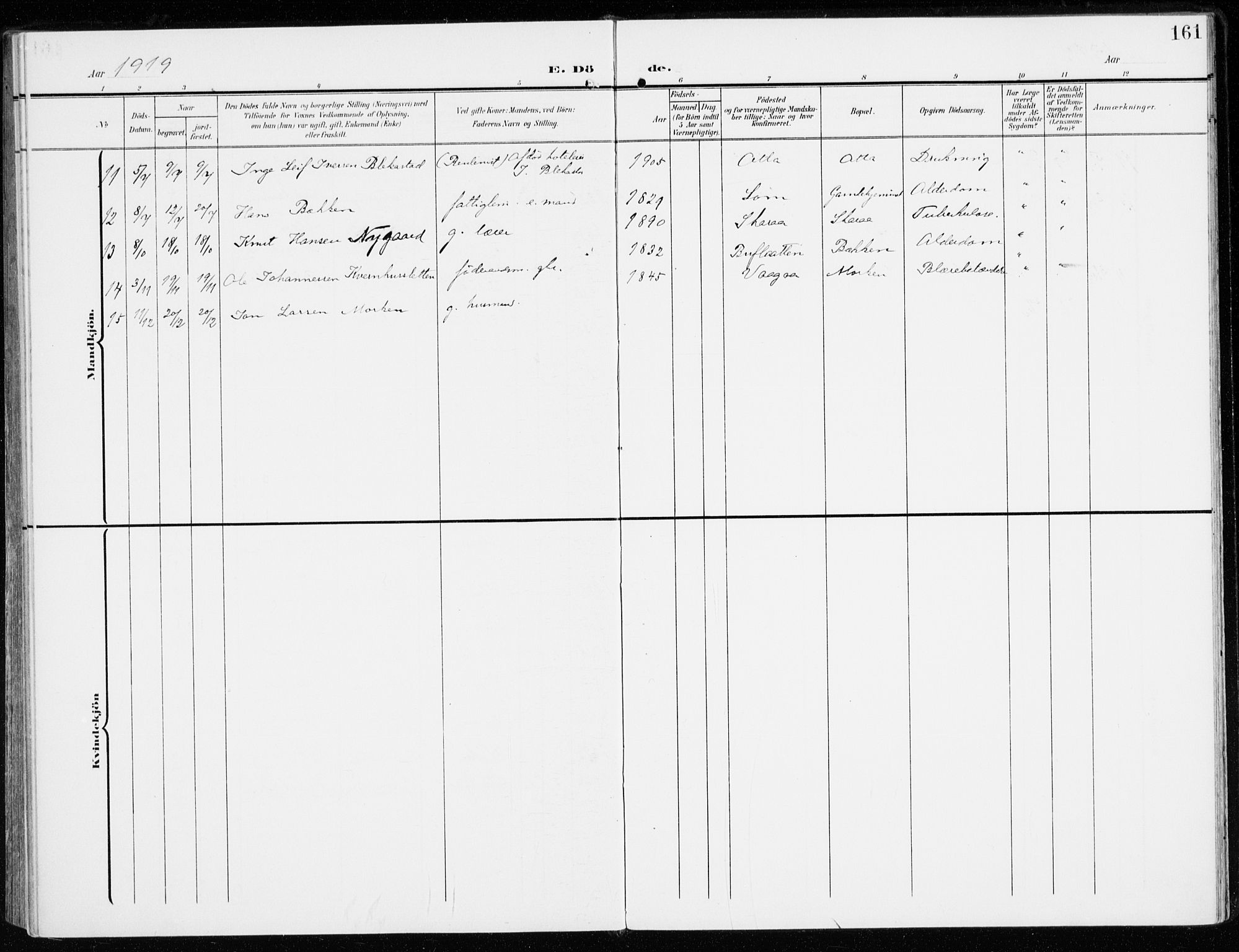 Sel prestekontor, SAH/PREST-074/H/Ha/Haa/L0002: Parish register (official) no. 2, 1905-1919, p. 161