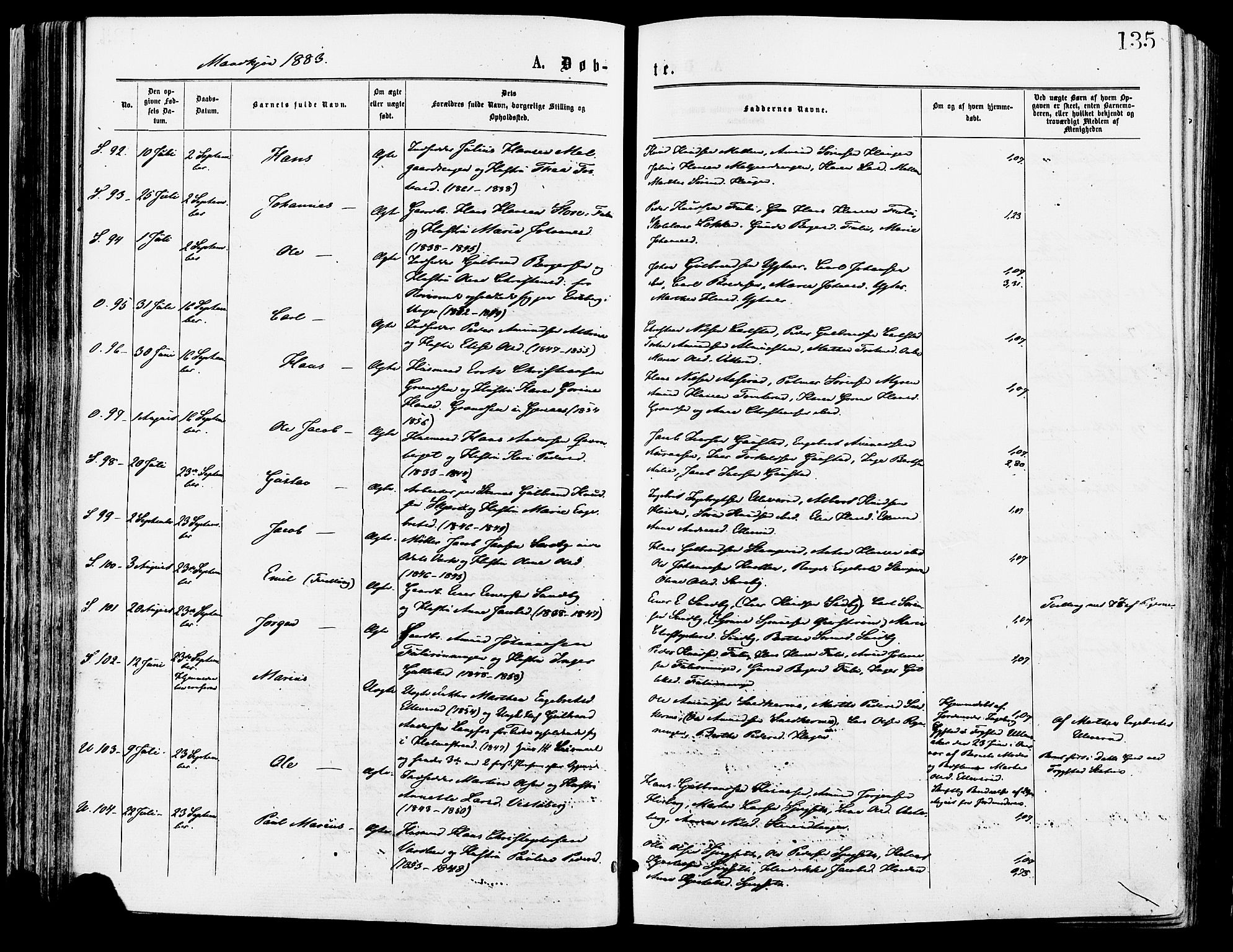 Sør-Odal prestekontor, AV/SAH-PREST-030/H/Ha/Haa/L0005: Parish register (official) no. 5, 1876-1885, p. 135