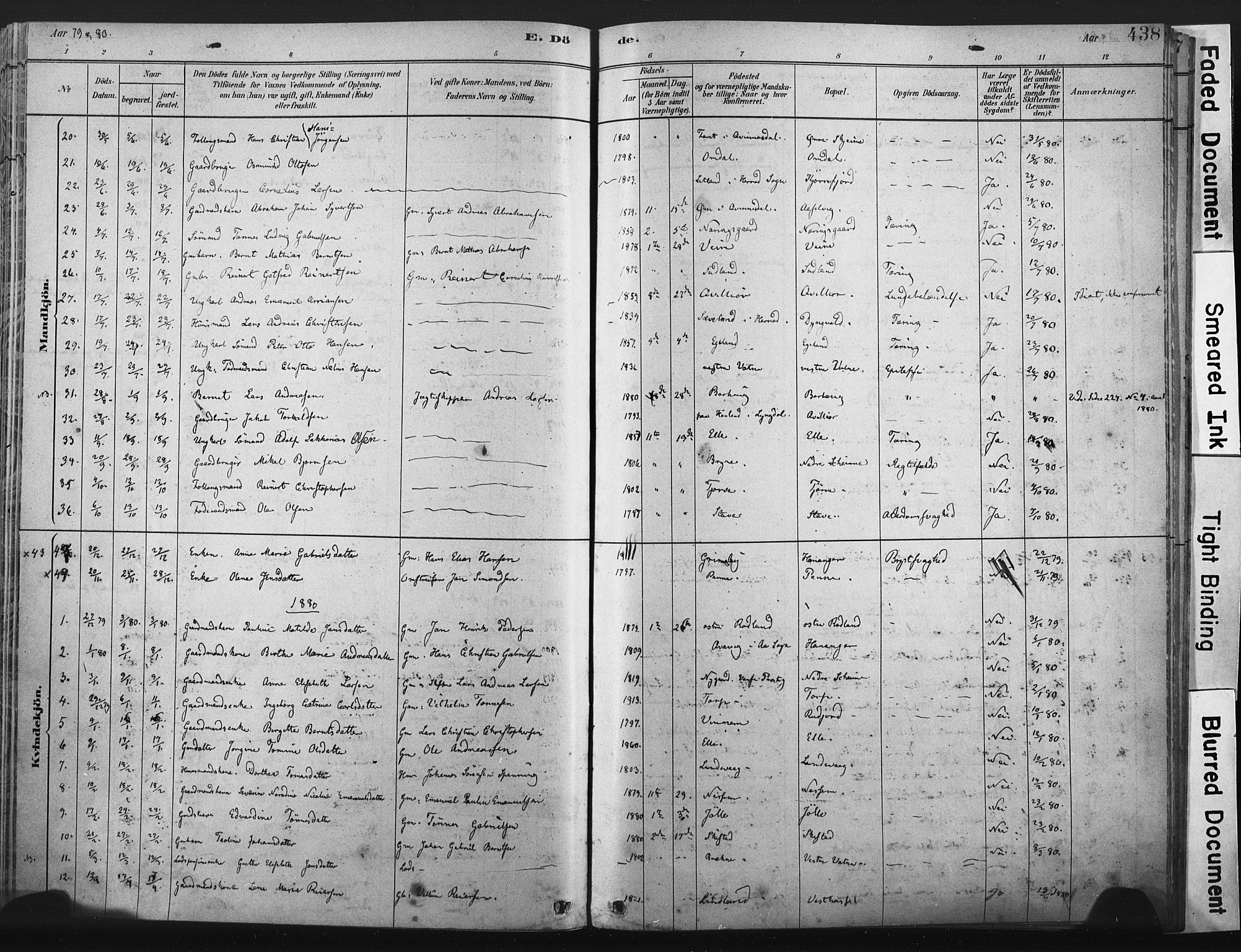 Lista sokneprestkontor, AV/SAK-1111-0027/F/Fa/L0012: Parish register (official) no. A 12, 1879-1903, p. 438