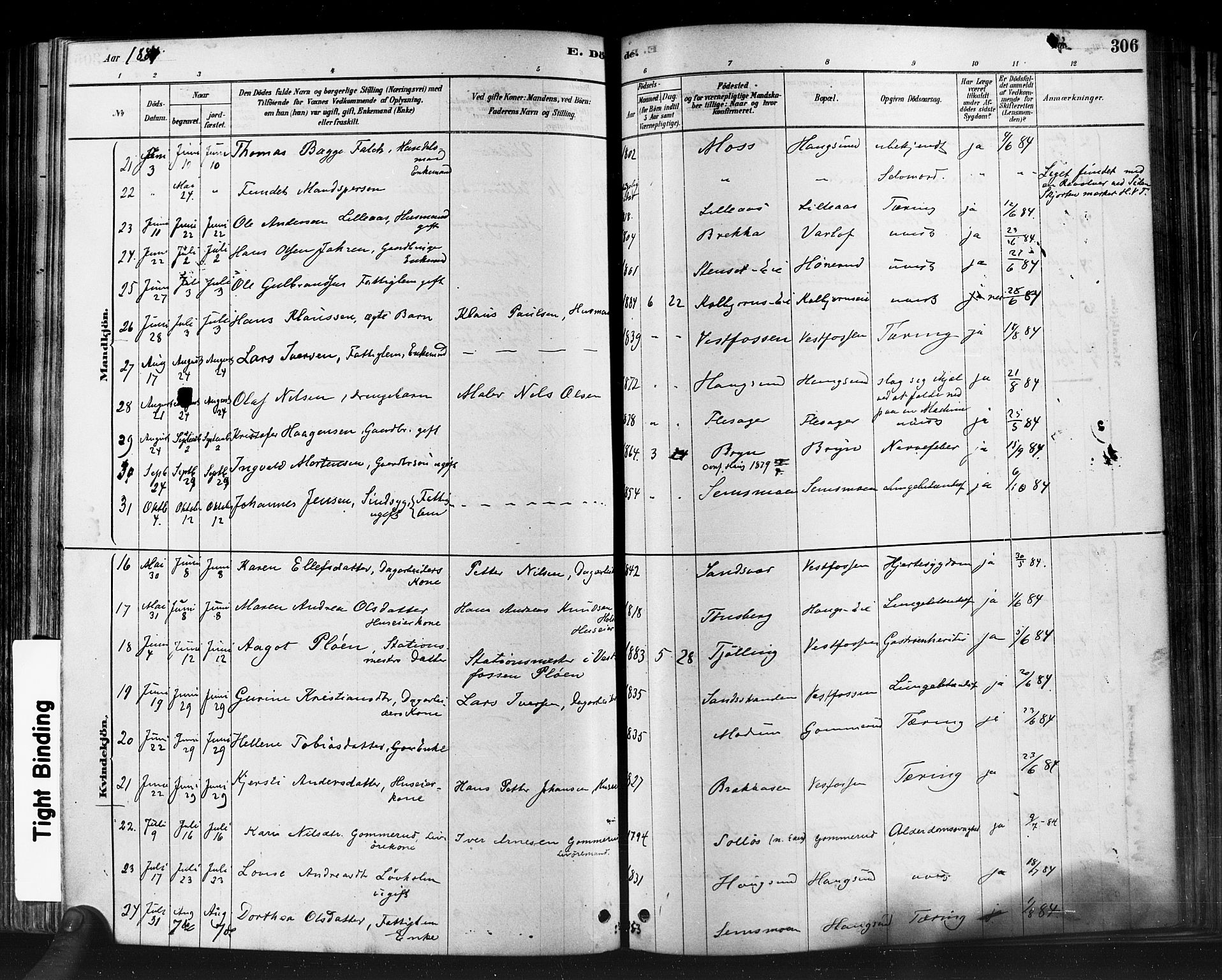 Eiker kirkebøker, SAKO/A-4/F/Fb/L0001: Parish register (official) no. II 1, 1878-1888, p. 306