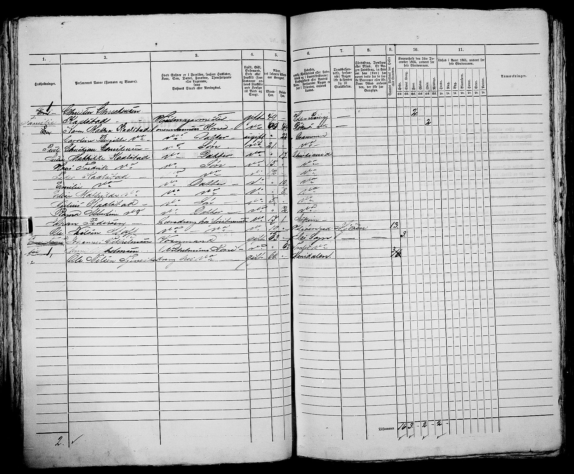 RA, 1865 census for Kristiania, 1865, p. 3243