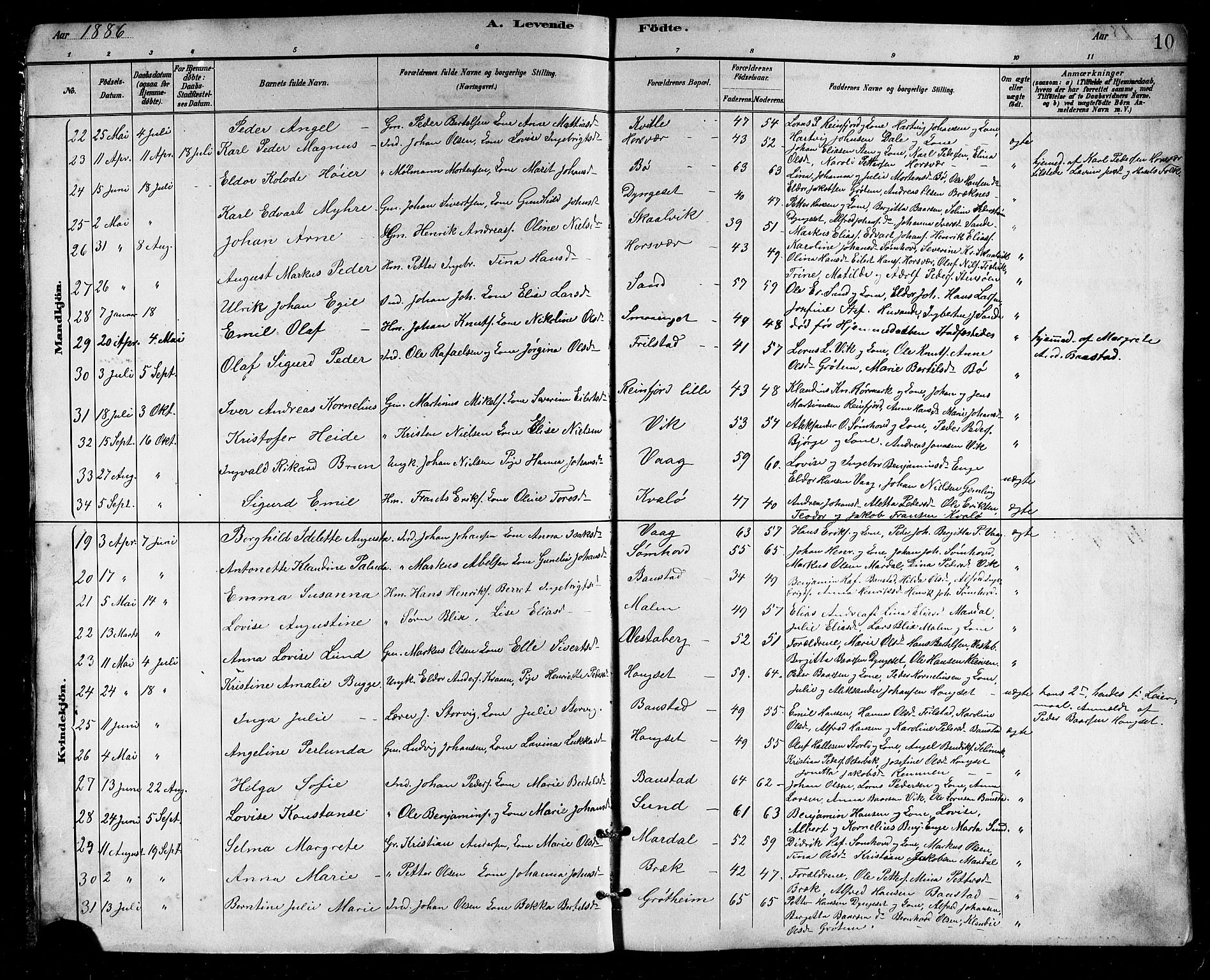 Ministerialprotokoller, klokkerbøker og fødselsregistre - Nordland, SAT/A-1459/812/L0188: Parish register (copy) no. 812C06, 1884-1912, p. 10