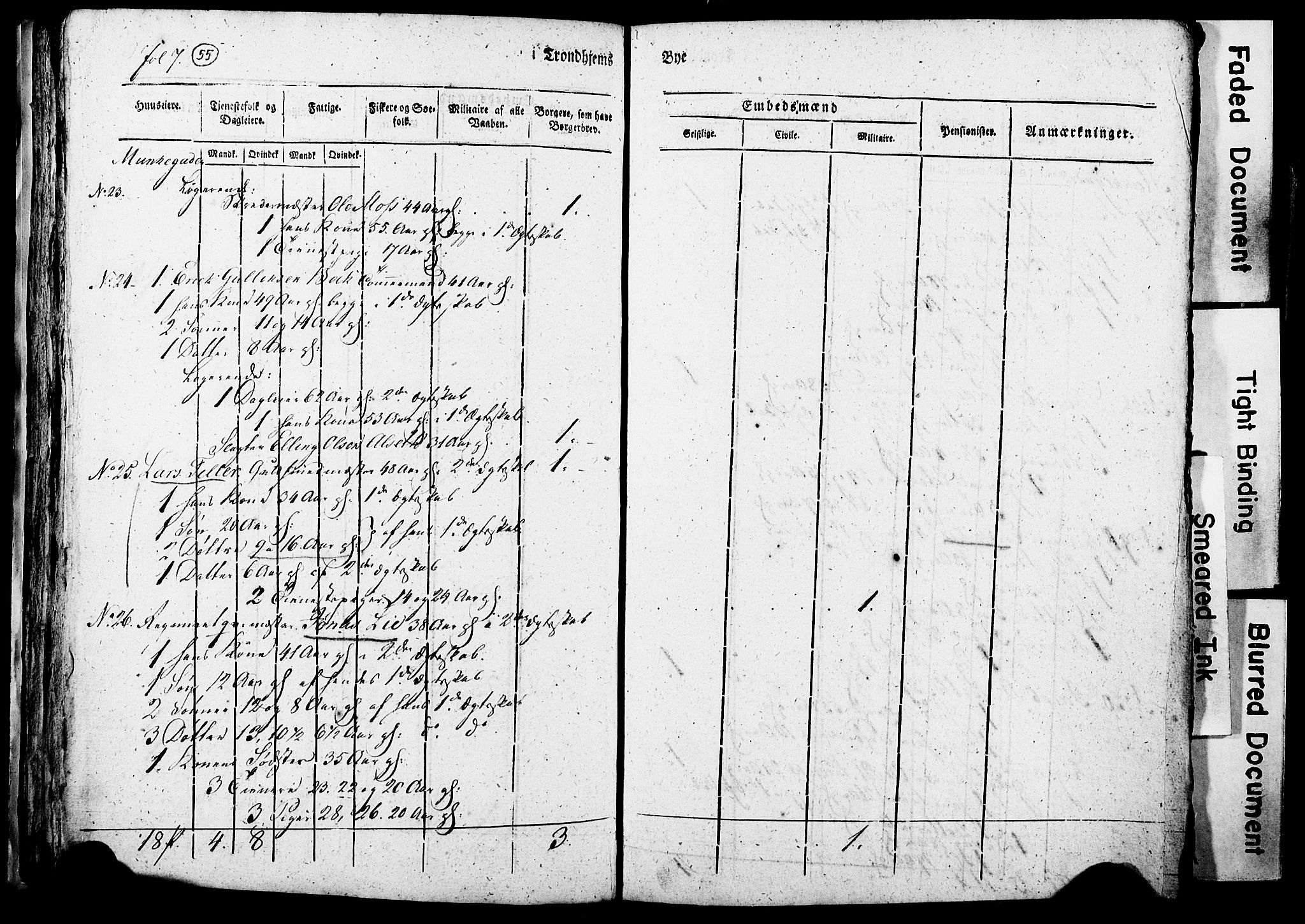 RA, Census 1815 for Trondheim, 1815, p. 256