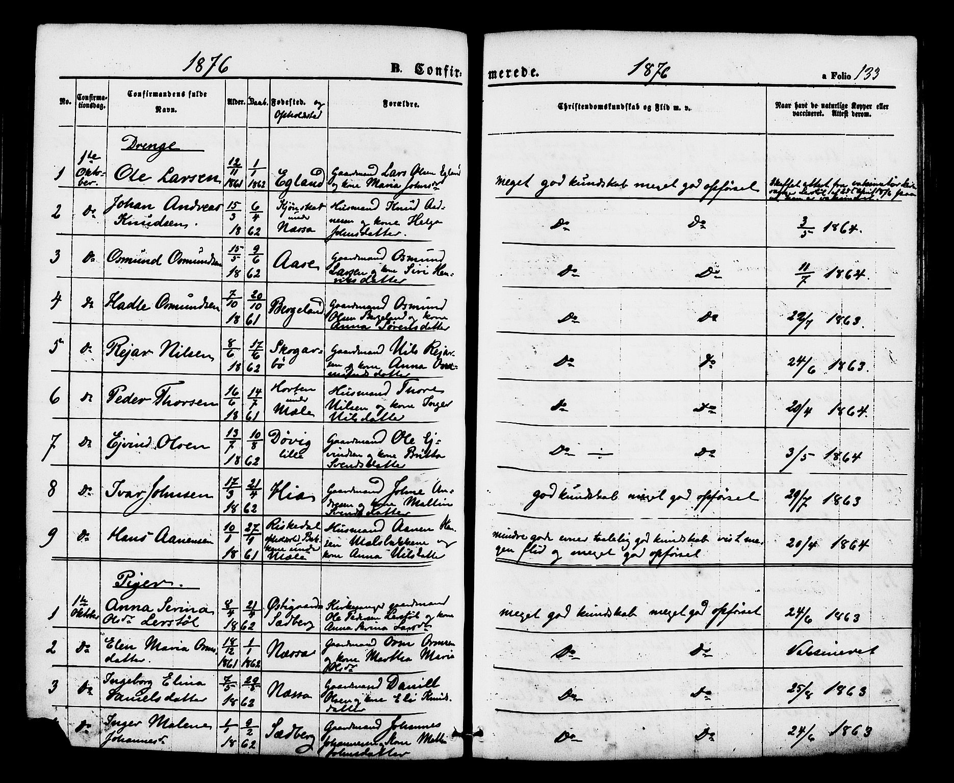 Hjelmeland sokneprestkontor, AV/SAST-A-101843/01/IV/L0012: Parish register (official) no. A 12, 1862-1886, p. 133