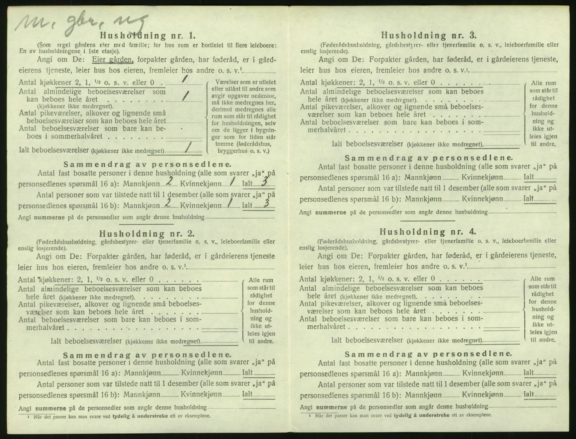 SAH, 1920 census for Vestre Slidre, 1920, p. 989