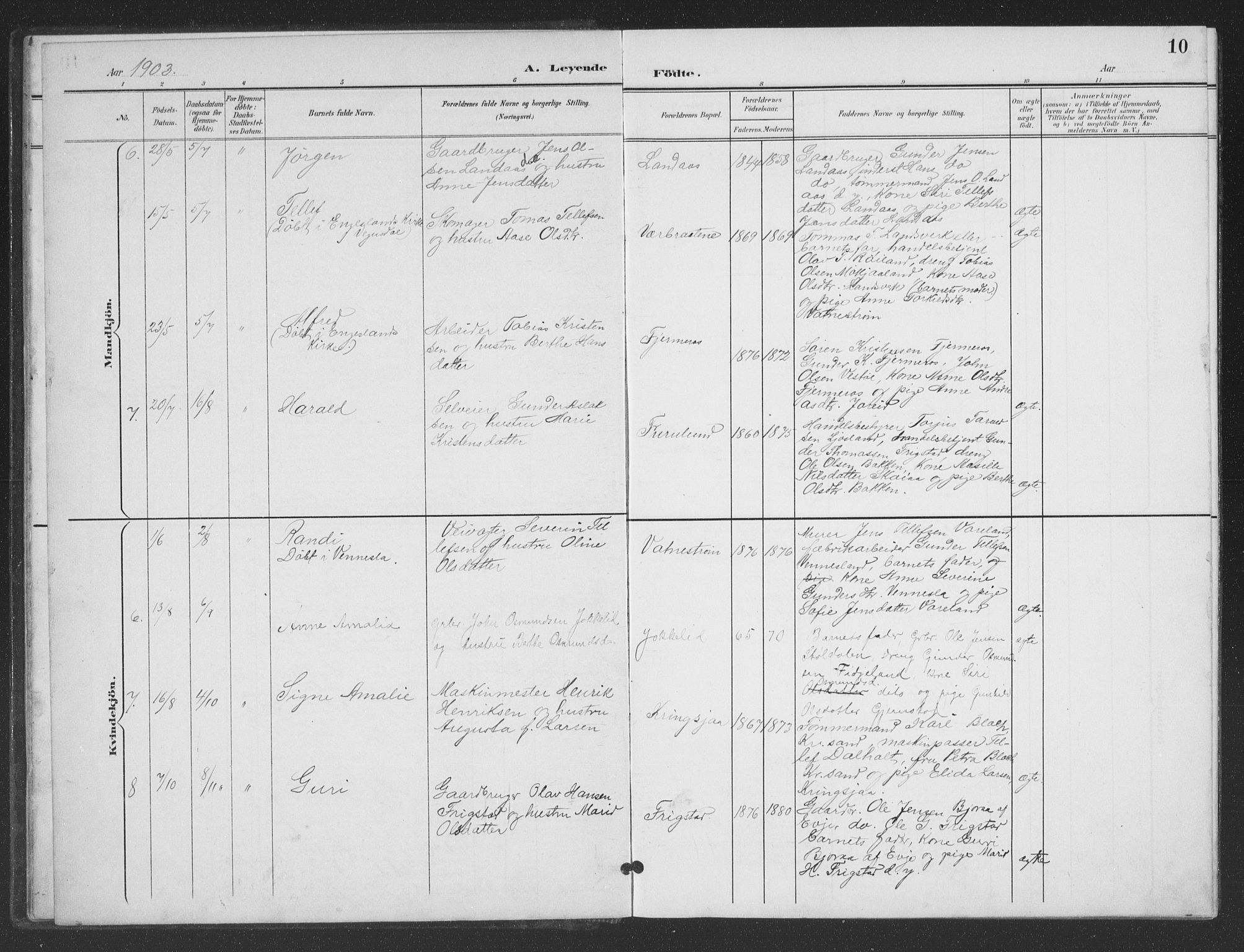 Evje sokneprestkontor, SAK/1111-0008/F/Fb/Fbc/L0005: Parish register (copy) no. B 5, 1901-1935, p. 10