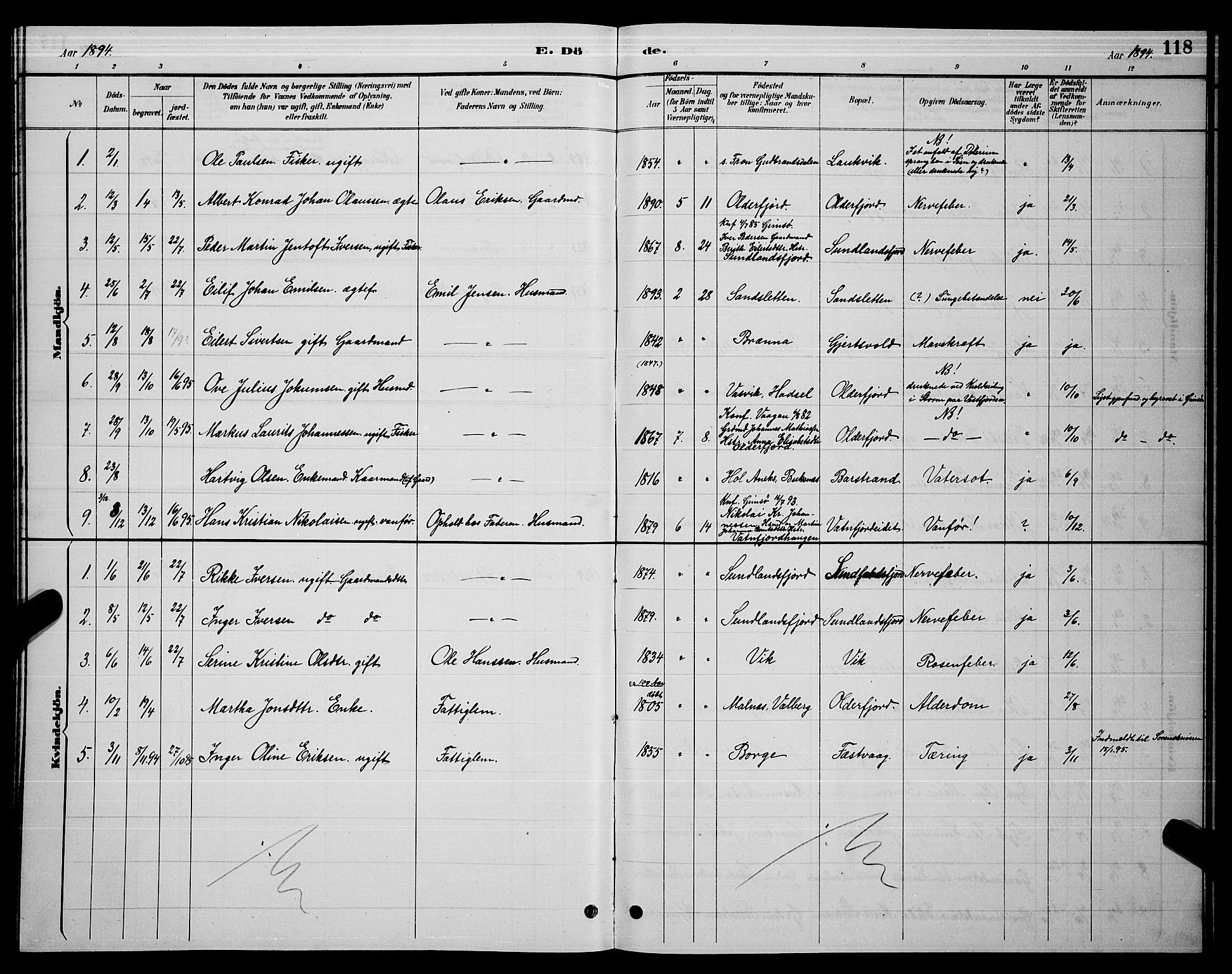 Ministerialprotokoller, klokkerbøker og fødselsregistre - Nordland, AV/SAT-A-1459/876/L1104: Parish register (copy) no. 876C03, 1886-1896, p. 118