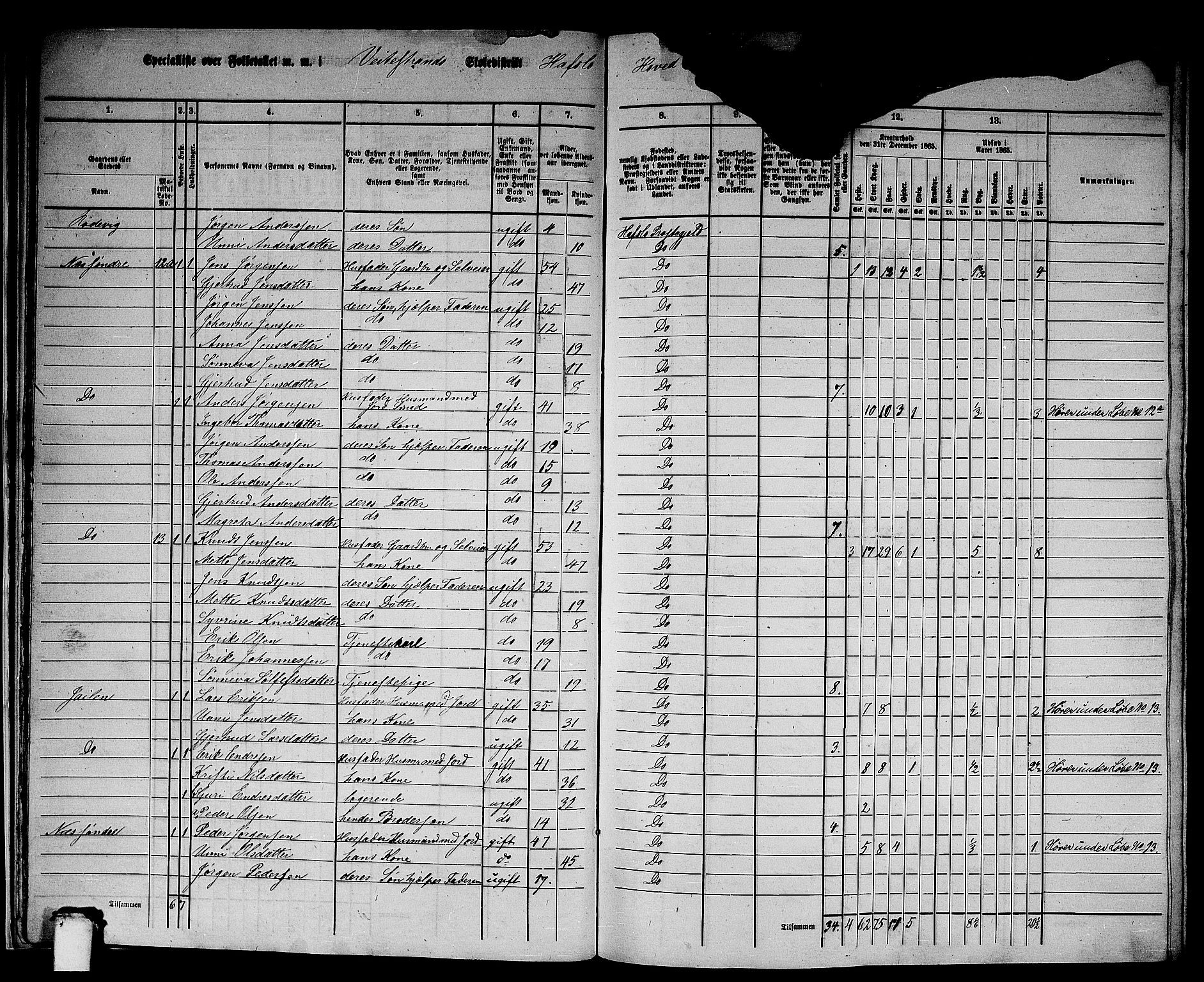 RA, 1865 census for Hafslo, 1865, p. 17