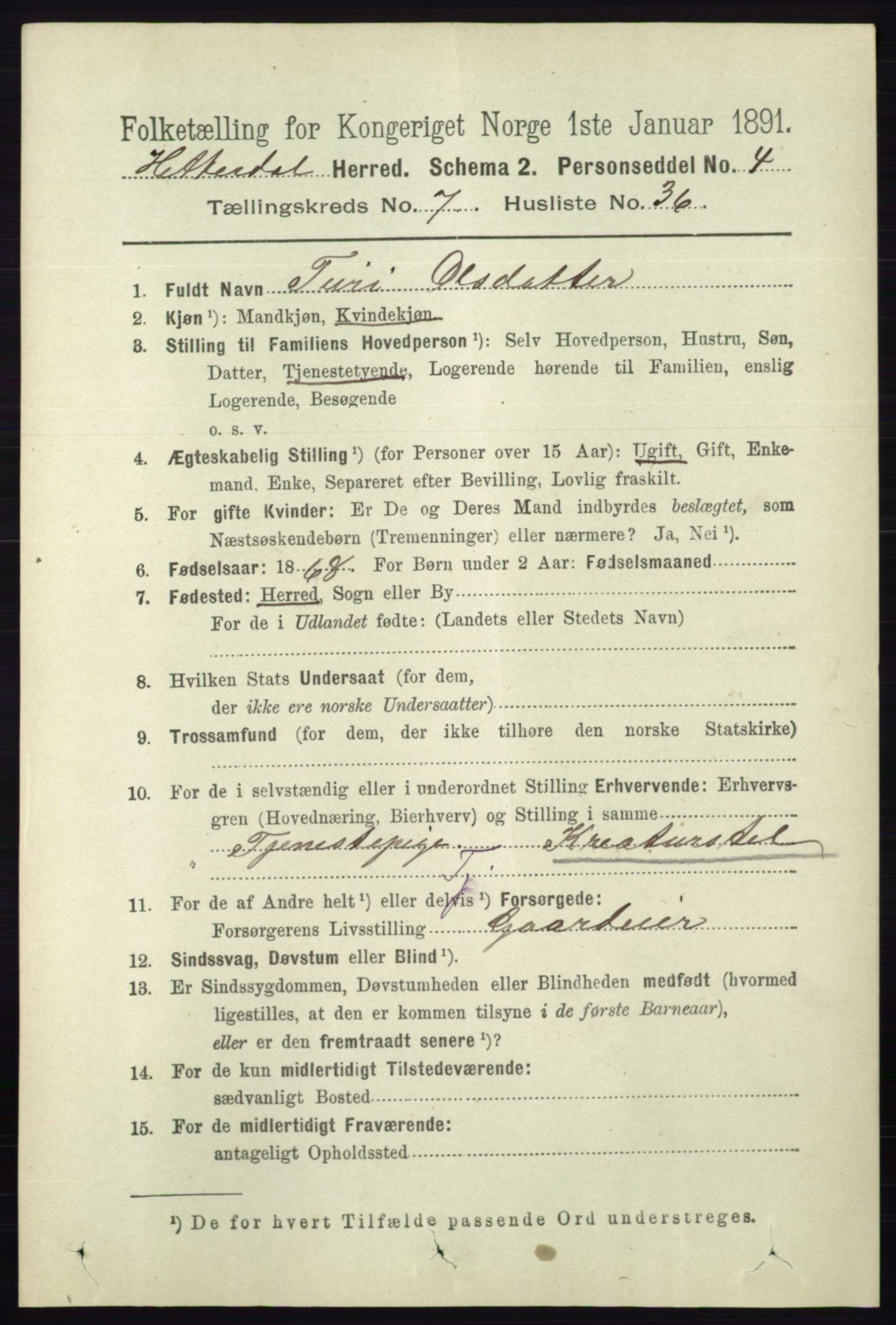 RA, 1891 census for 0823 Heddal, 1891, p. 3219