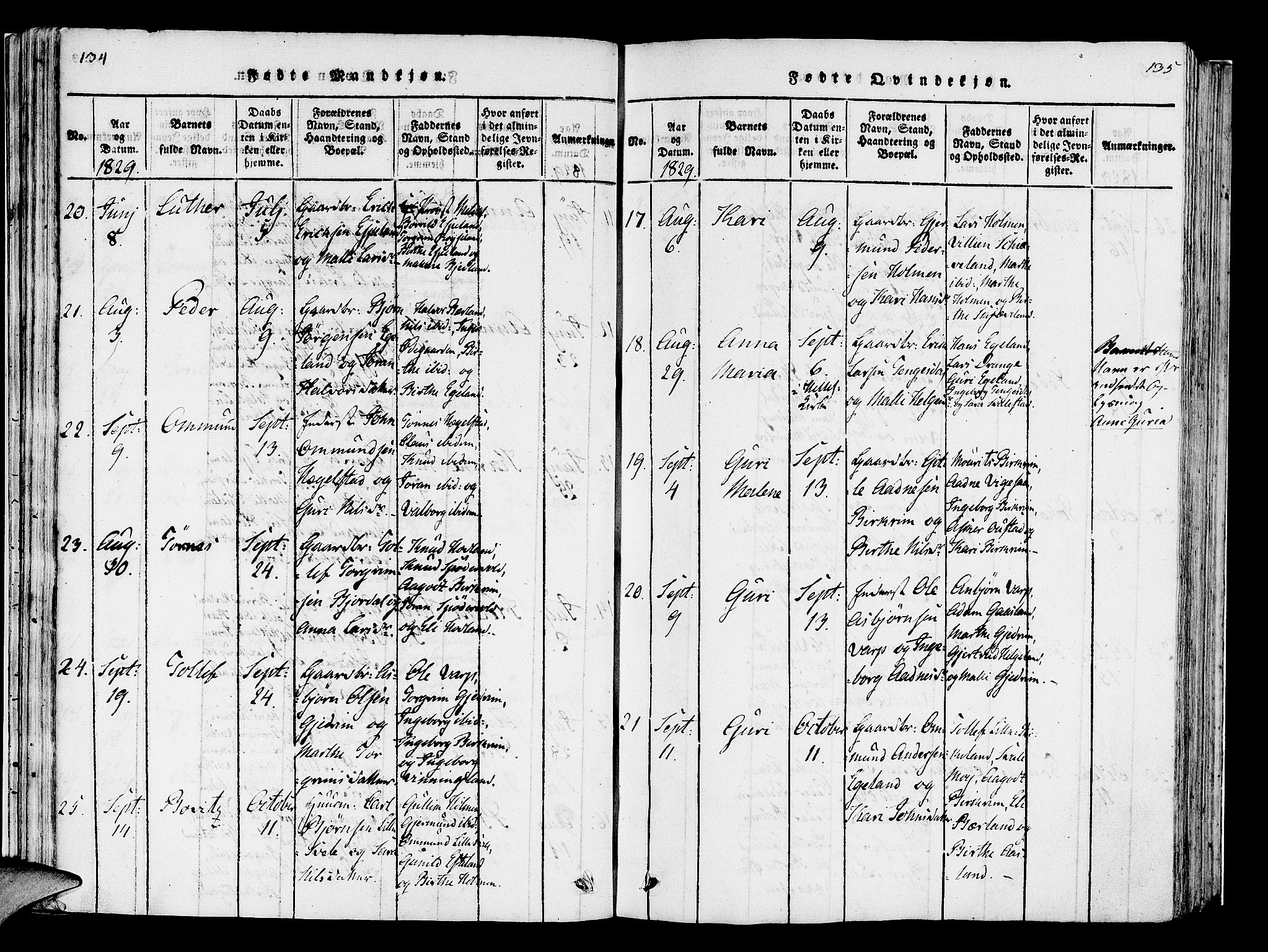 Helleland sokneprestkontor, AV/SAST-A-101810: Parish register (official) no. A 5, 1815-1834, p. 134-135