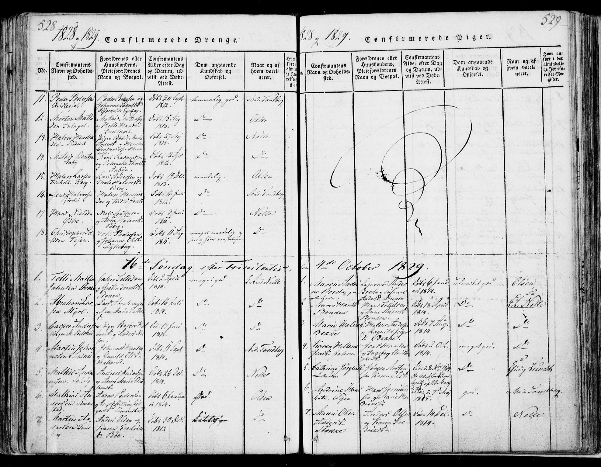 Sande Kirkebøker, SAKO/A-53/F/Fa/L0003: Parish register (official) no. 3, 1814-1847, p. 528-529