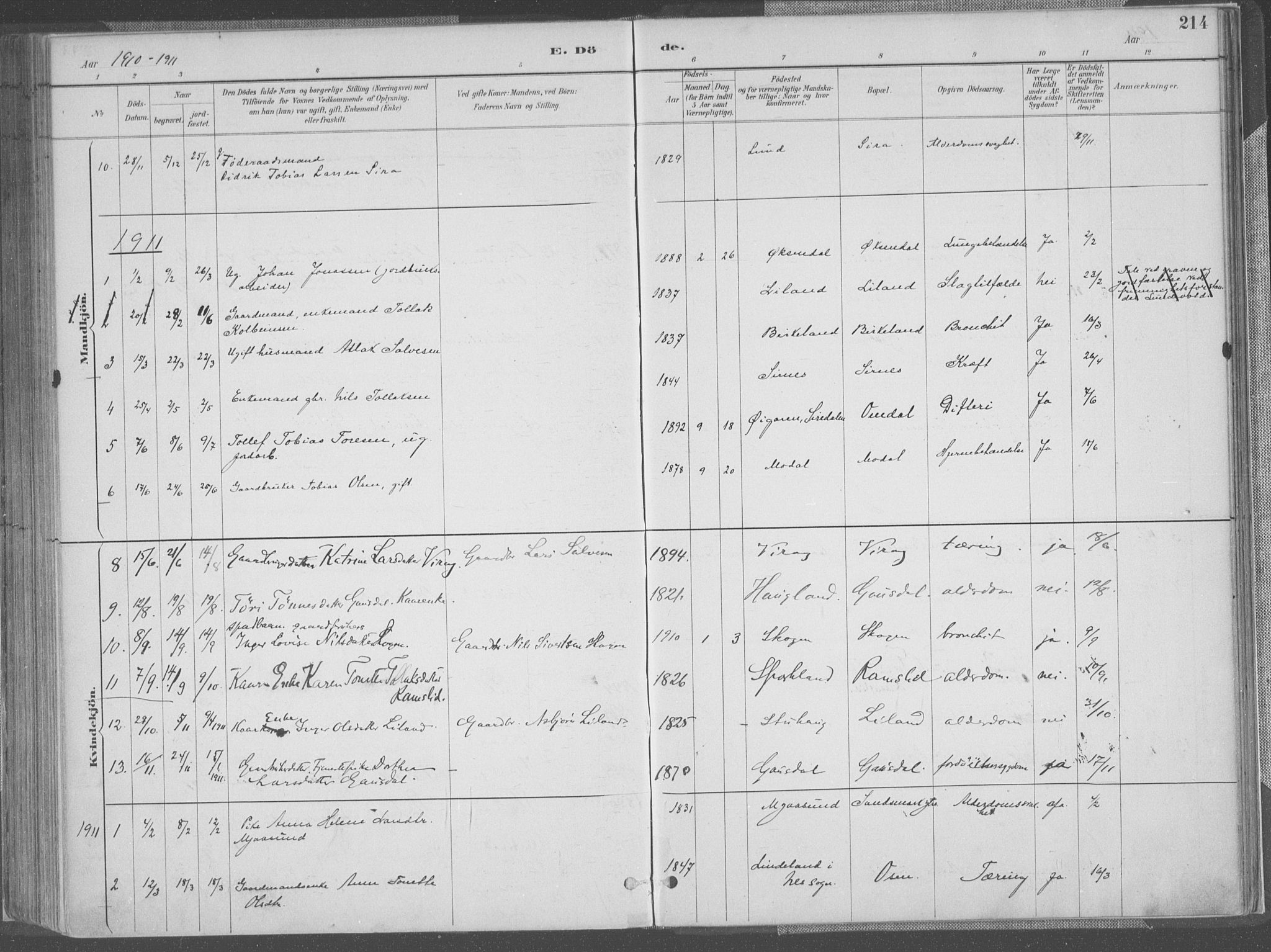 Bakke sokneprestkontor, SAK/1111-0002/F/Fa/Faa/L0008: Parish register (official) no. A 8, 1887-1911, p. 214