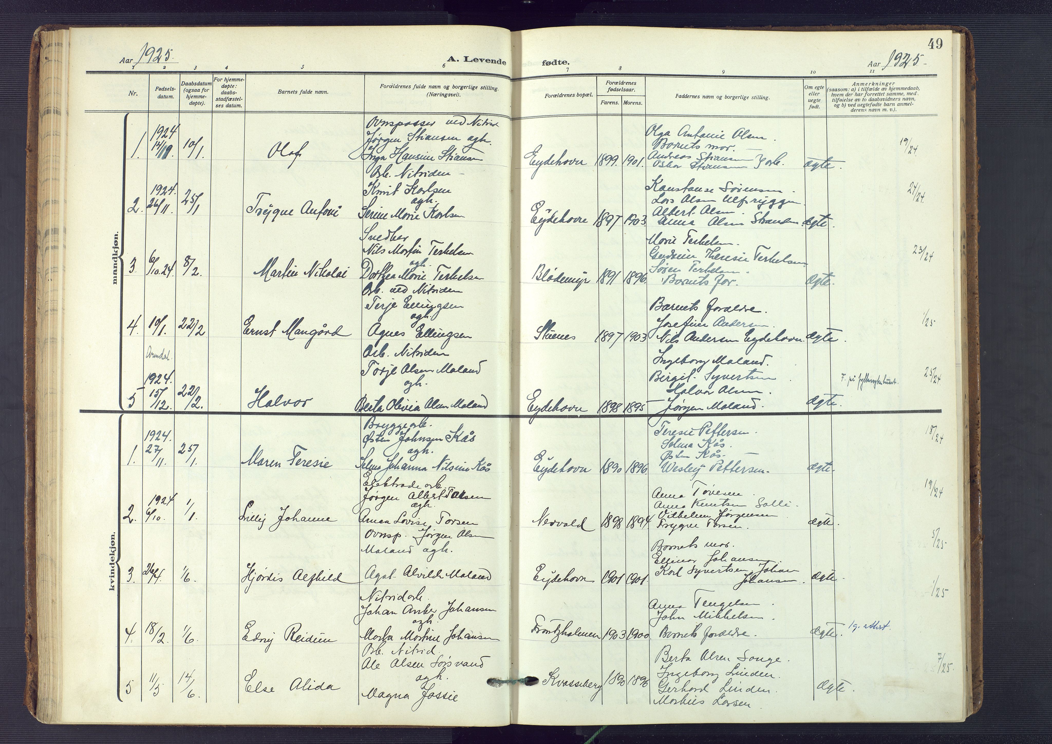 Austre Moland sokneprestkontor, SAK/1111-0001/F/Fa/Fab/L0003: Parish register (official) no. A 3, 1914-1927, p. 49