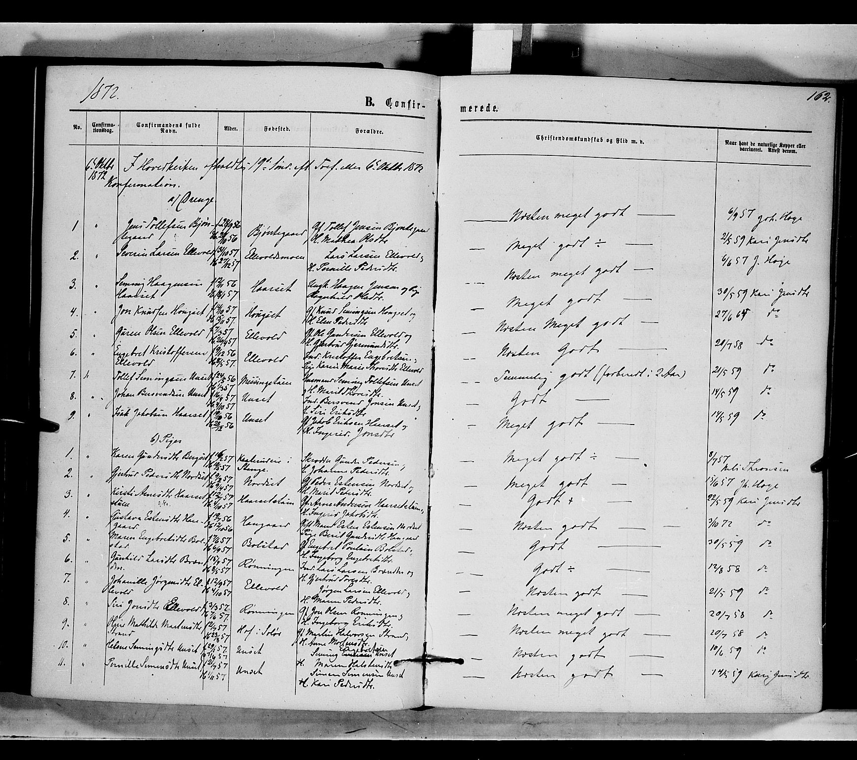 Rendalen prestekontor, SAH/PREST-054/H/Ha/Haa/L0006: Parish register (official) no. 6, 1867-1877, p. 162