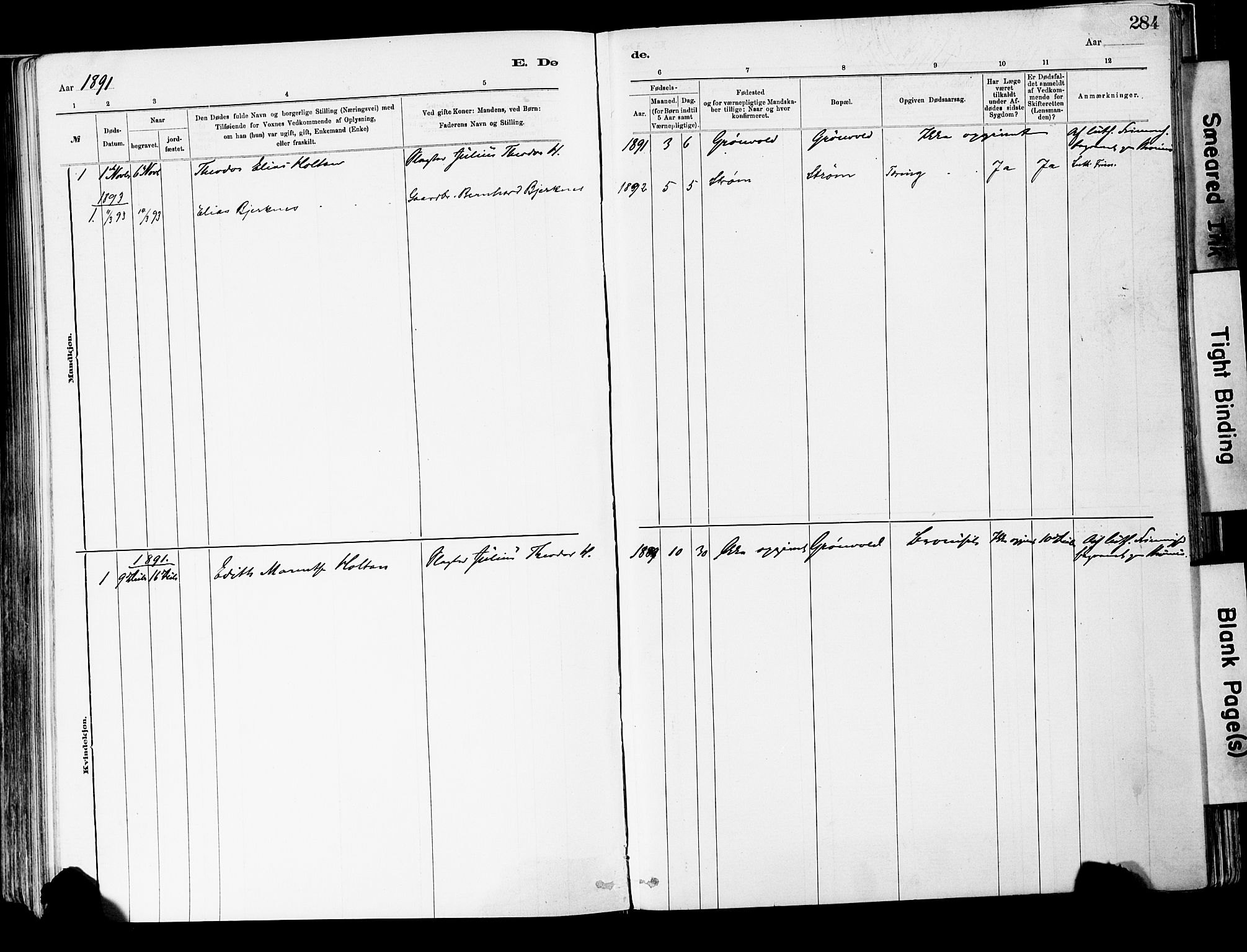 Strømsgodset kirkebøker, SAKO/A-324/F/Fa/L0001: Parish register (official) no. 1, 1885-1909, p. 284