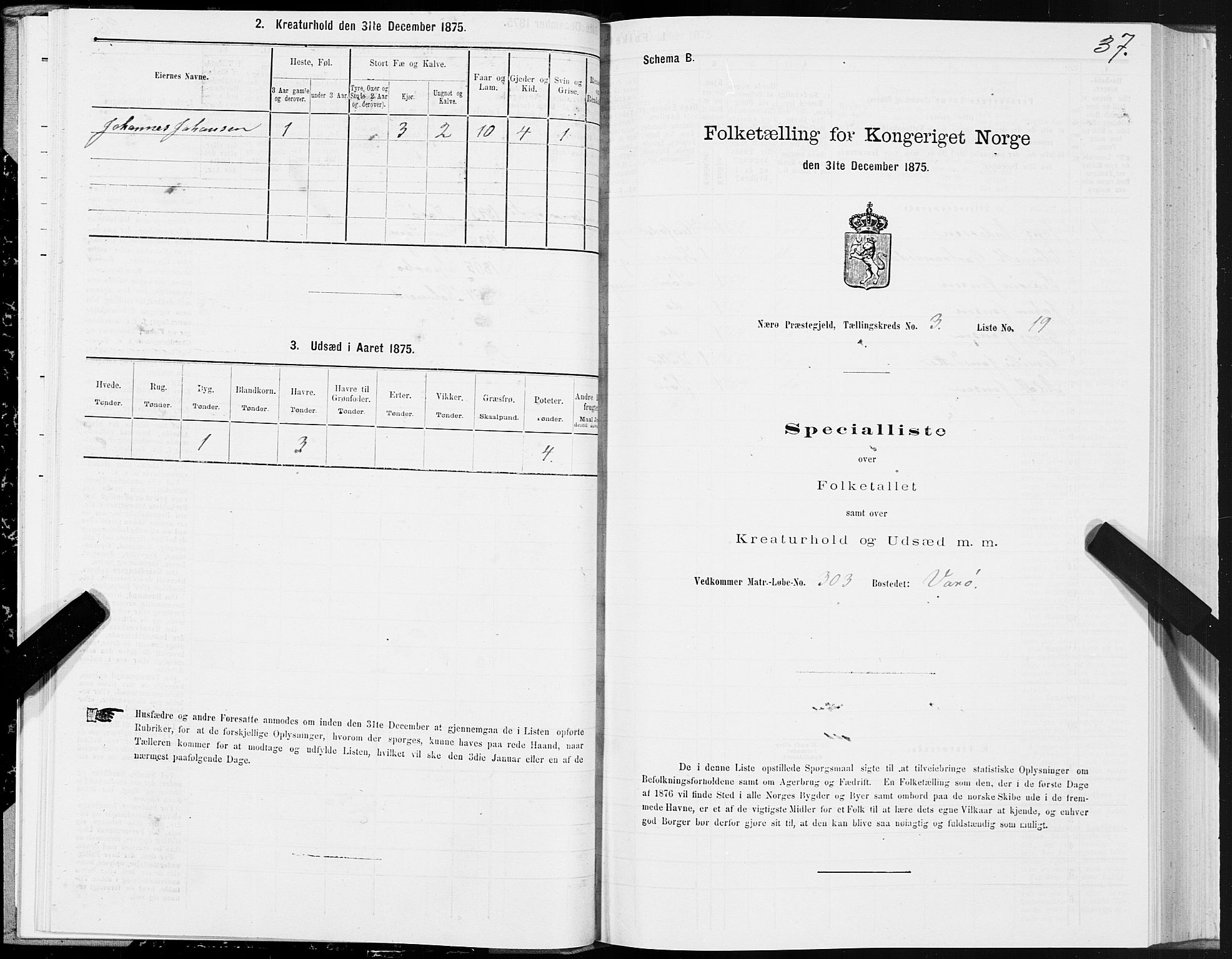 SAT, 1875 census for 1751P Nærøy, 1875, p. 2037