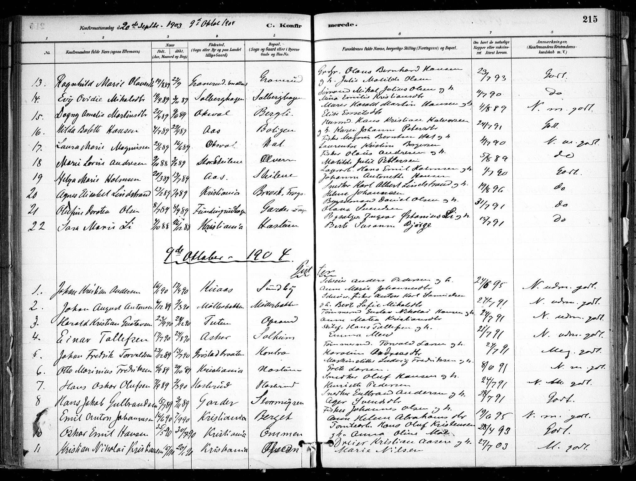 Nesodden prestekontor Kirkebøker, SAO/A-10013/F/Fa/L0009: Parish register (official) no. I 9, 1880-1915, p. 215