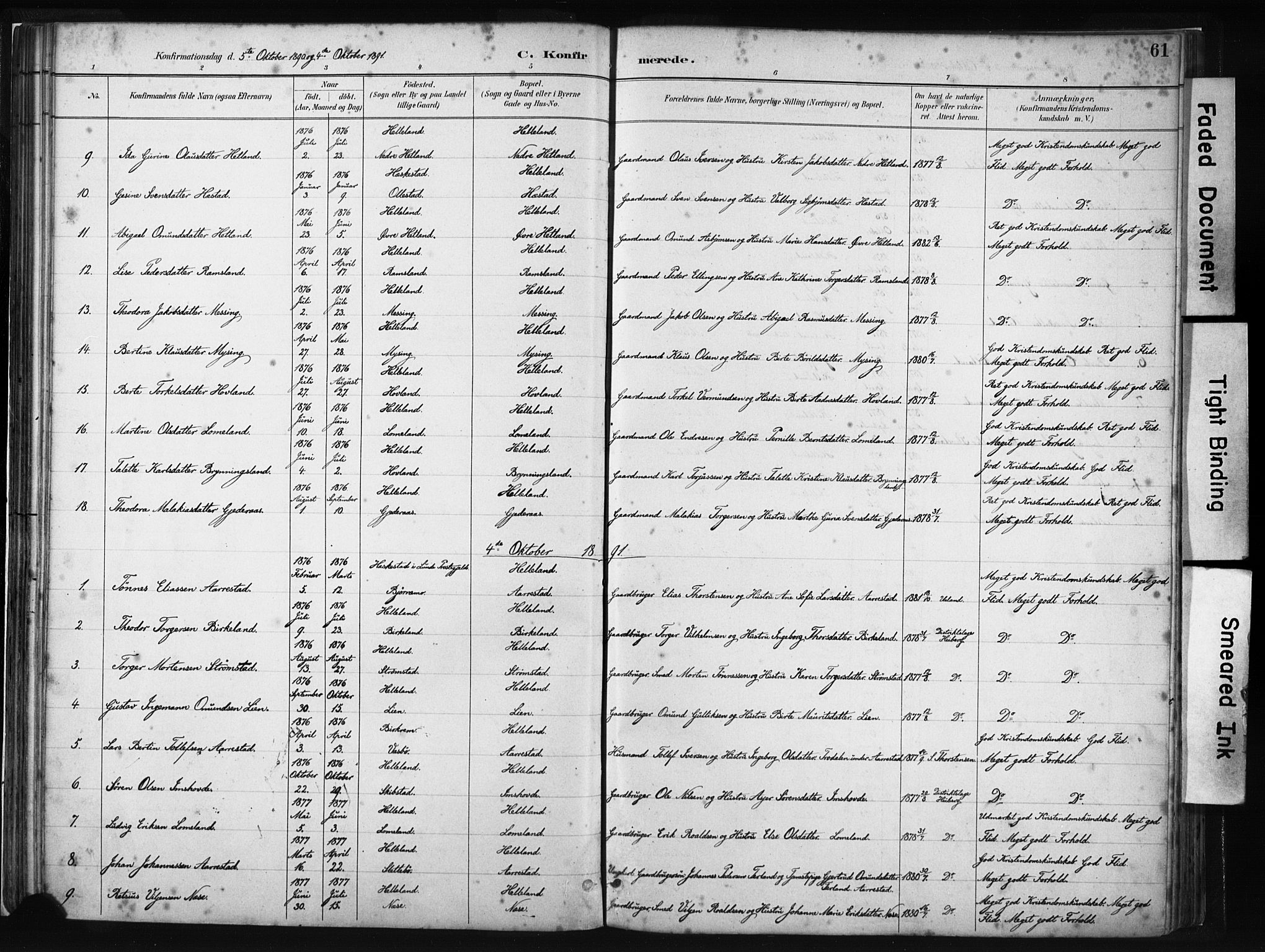 Helleland sokneprestkontor, AV/SAST-A-101810: Parish register (official) no. A 8, 1887-1907, p. 61