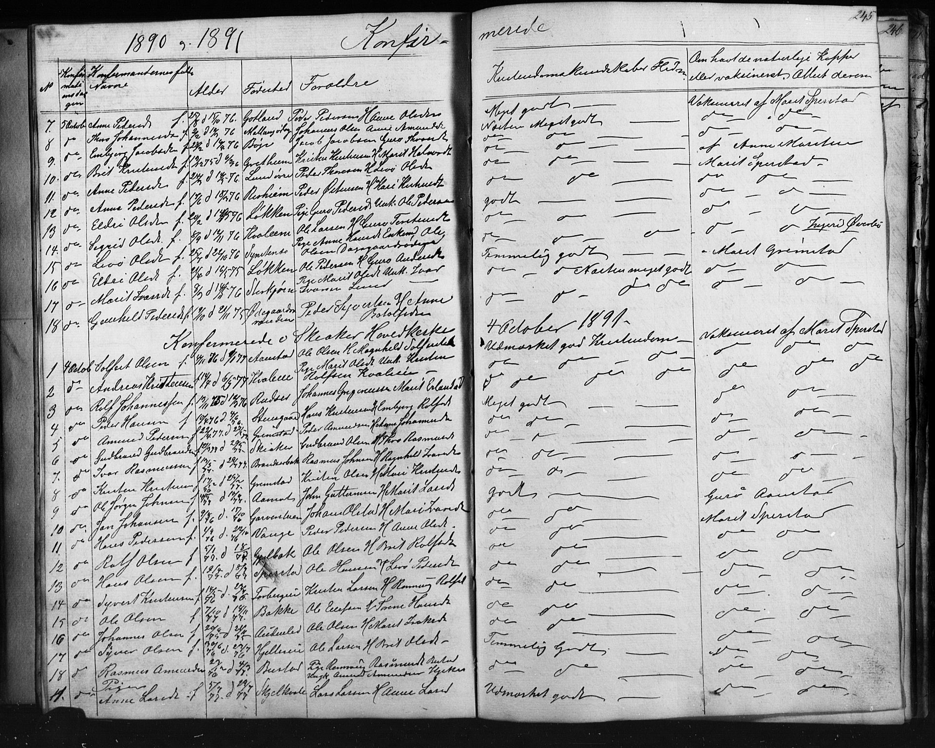 Skjåk prestekontor, SAH/PREST-072/H/Ha/Hab/L0001: Parish register (copy) no. 1, 1865-1893, p. 245
