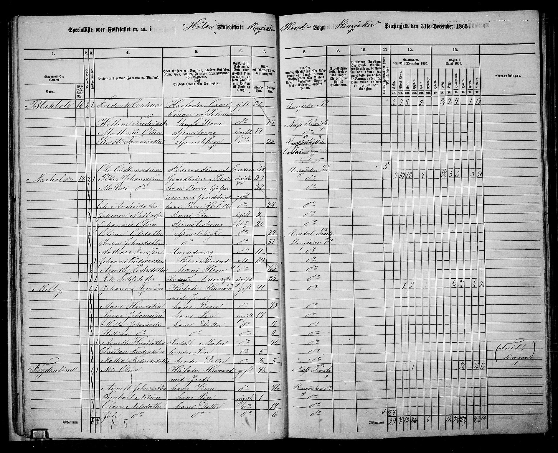 RA, 1865 census for Ringsaker, 1865, p. 38