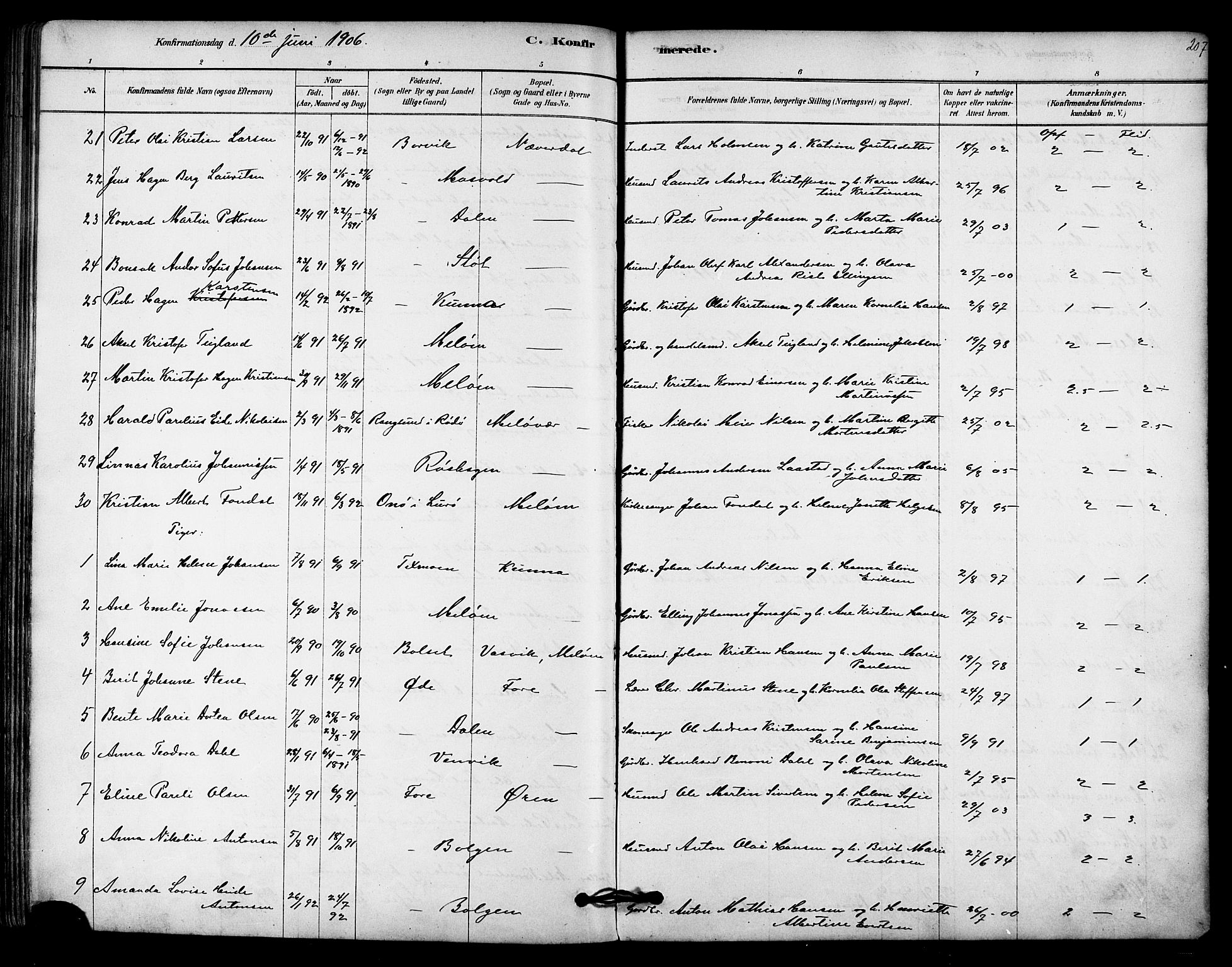 Ministerialprotokoller, klokkerbøker og fødselsregistre - Nordland, AV/SAT-A-1459/843/L0626: Parish register (official) no. 843A01, 1878-1907, p. 207