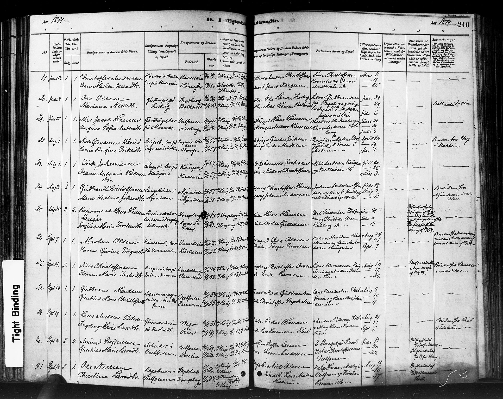 Eiker kirkebøker, SAKO/A-4/F/Fb/L0001: Parish register (official) no. II 1, 1878-1888, p. 246