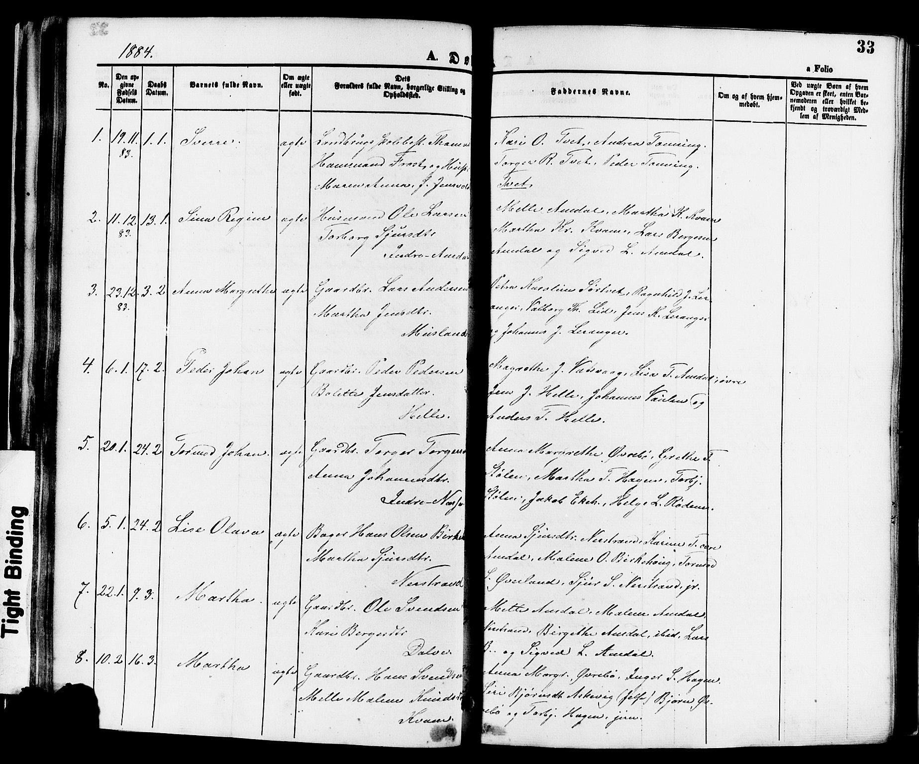 Nedstrand sokneprestkontor, SAST/A-101841/01/IV: Parish register (official) no. A 11, 1877-1887, p. 33
