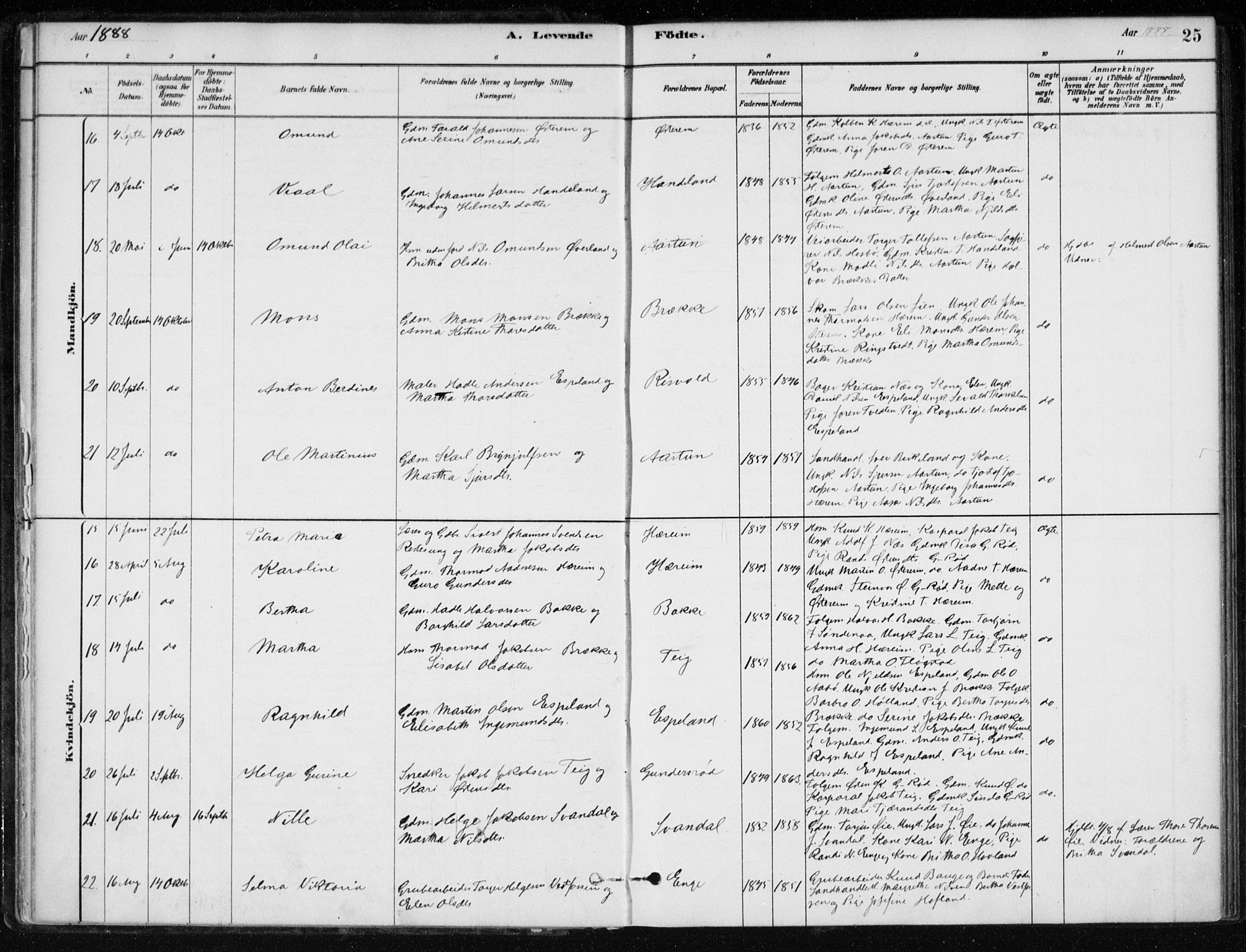 Sand sokneprestkontor, AV/SAST-A-101848/01/III/L0006: Parish register (official) no. A 6, 1880-1898, p. 25