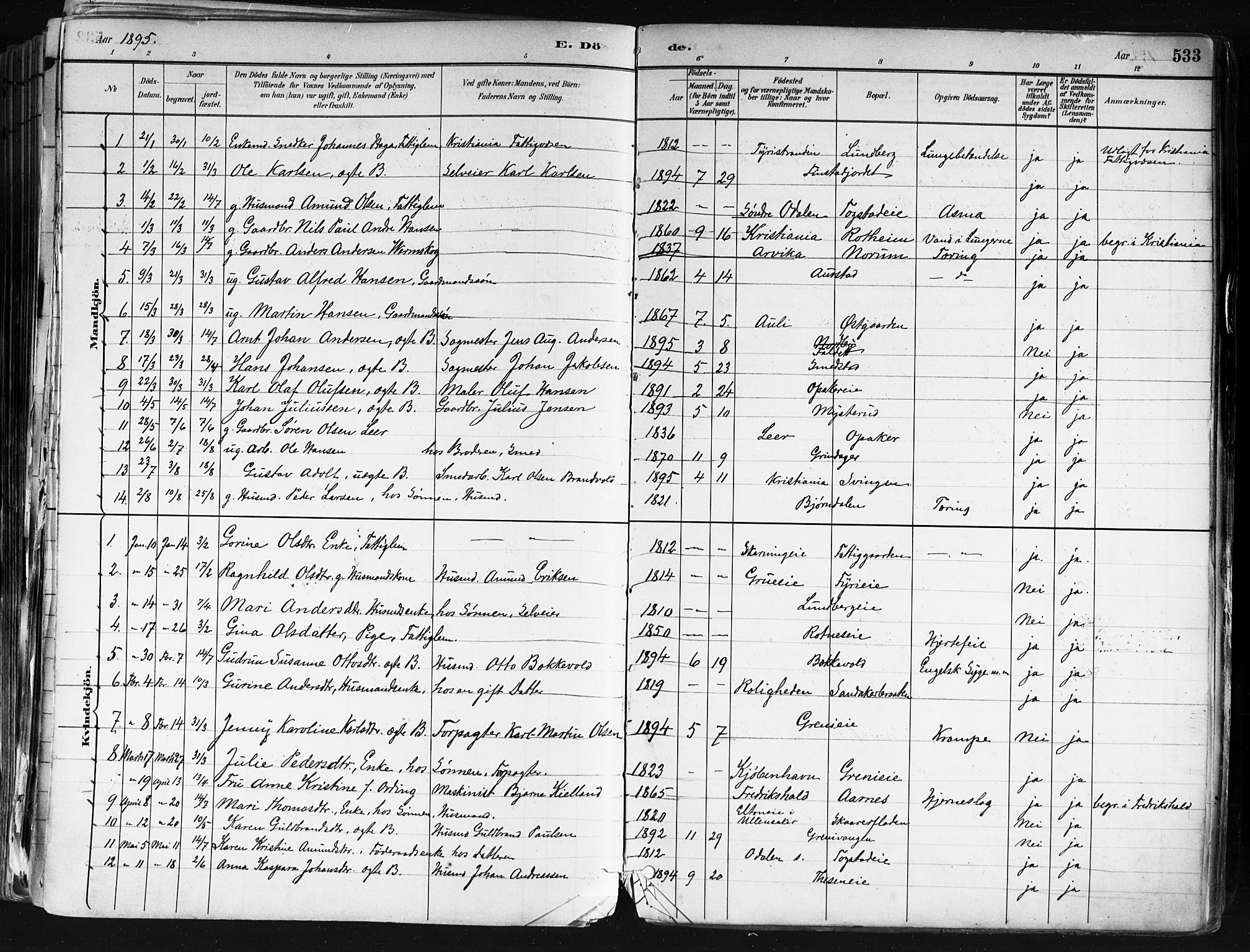 Nes prestekontor Kirkebøker, SAO/A-10410/F/Fa/L0010: Parish register (official) no. I 10, 1883-1898, p. 533