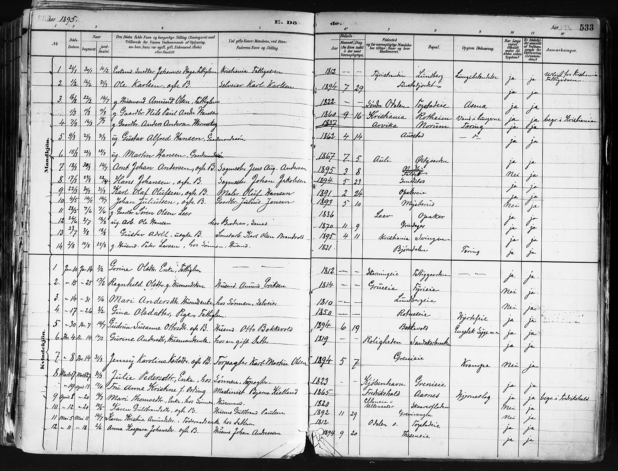 Nes prestekontor Kirkebøker, AV/SAO-A-10410/F/Fa/L0010: Parish register (official) no. I 10, 1883-1898, p. 533