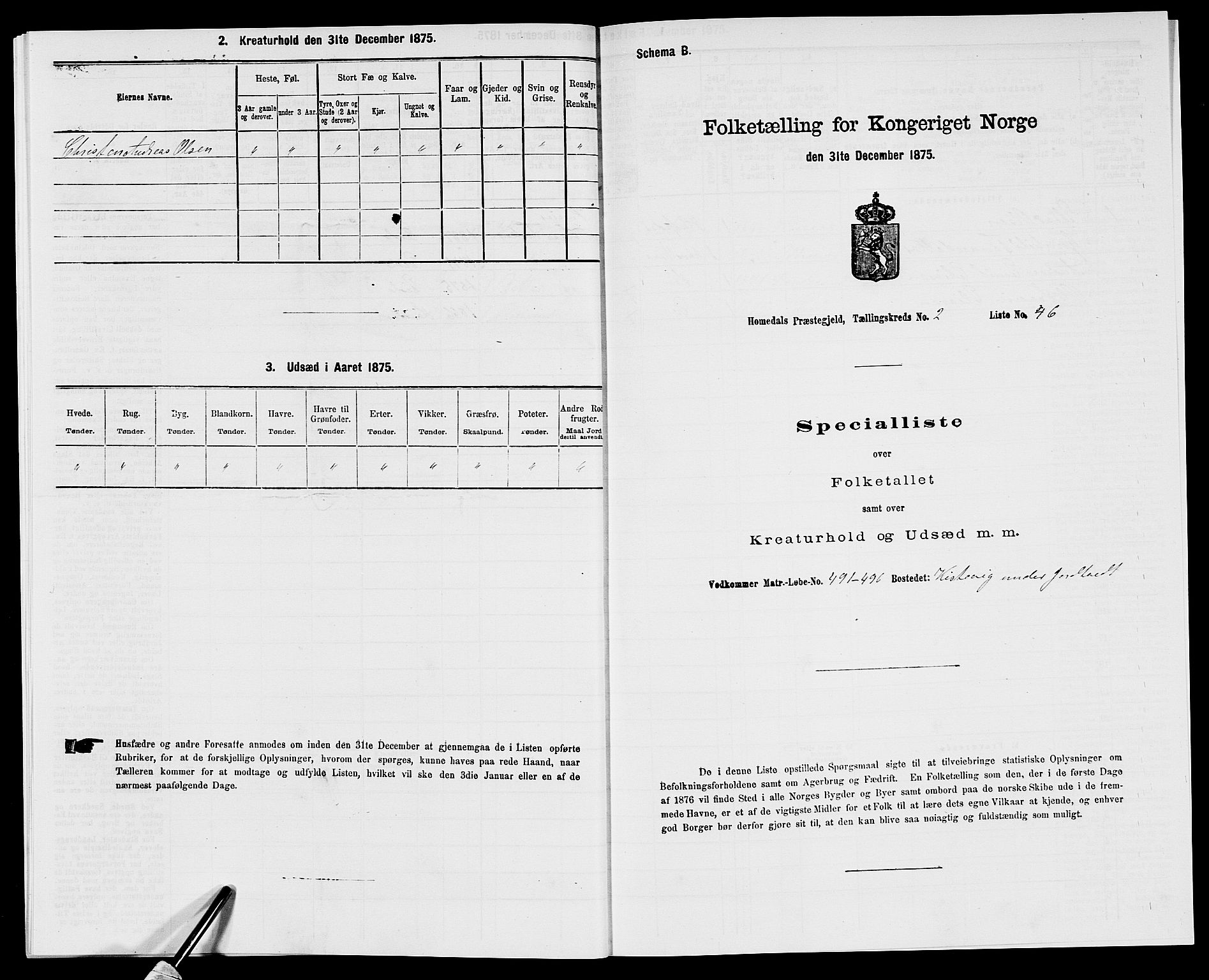 SAK, 1875 census for 0924P Homedal, 1875, p. 222