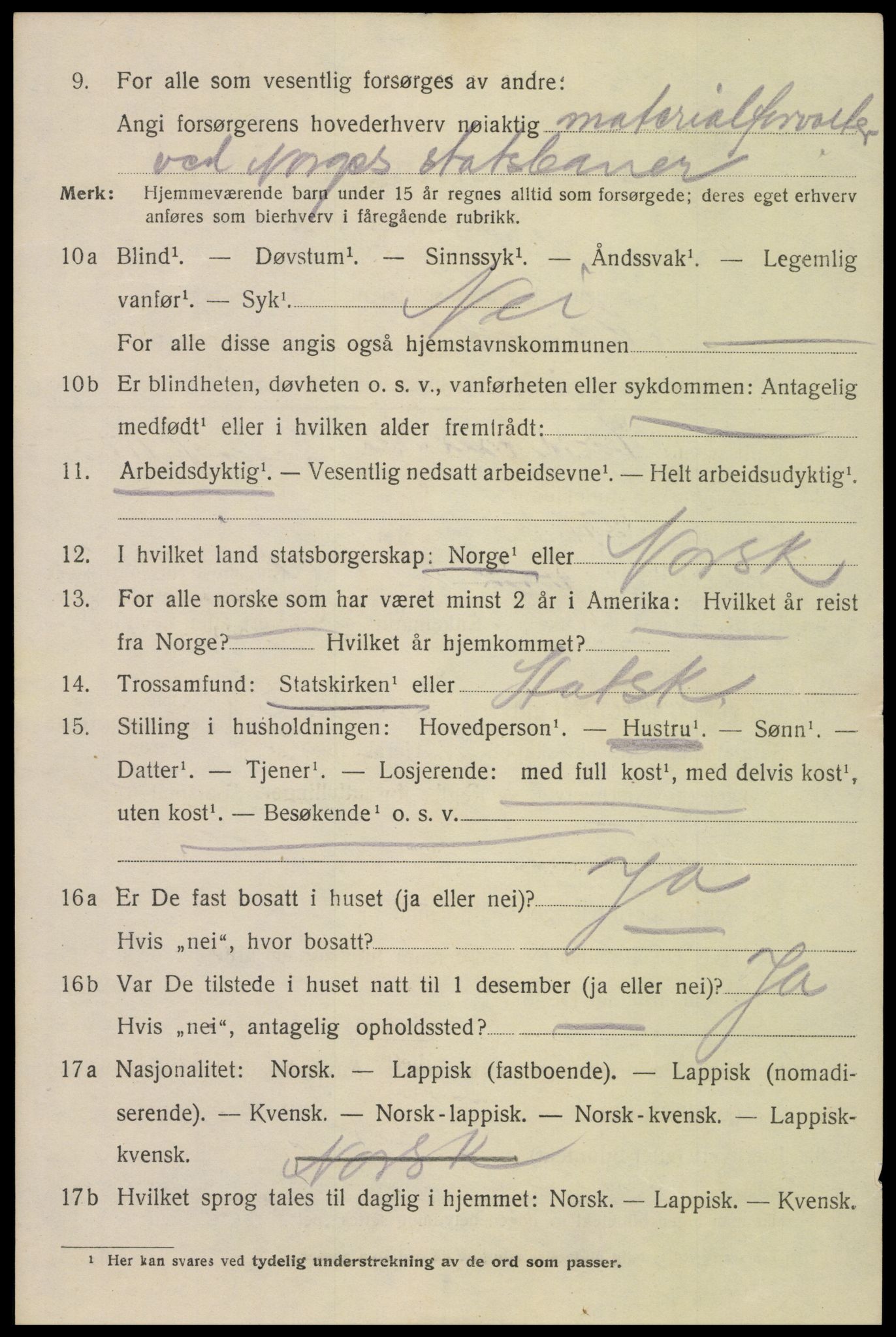 SAT, 1920 census for Narvik, 1920, p. 11737