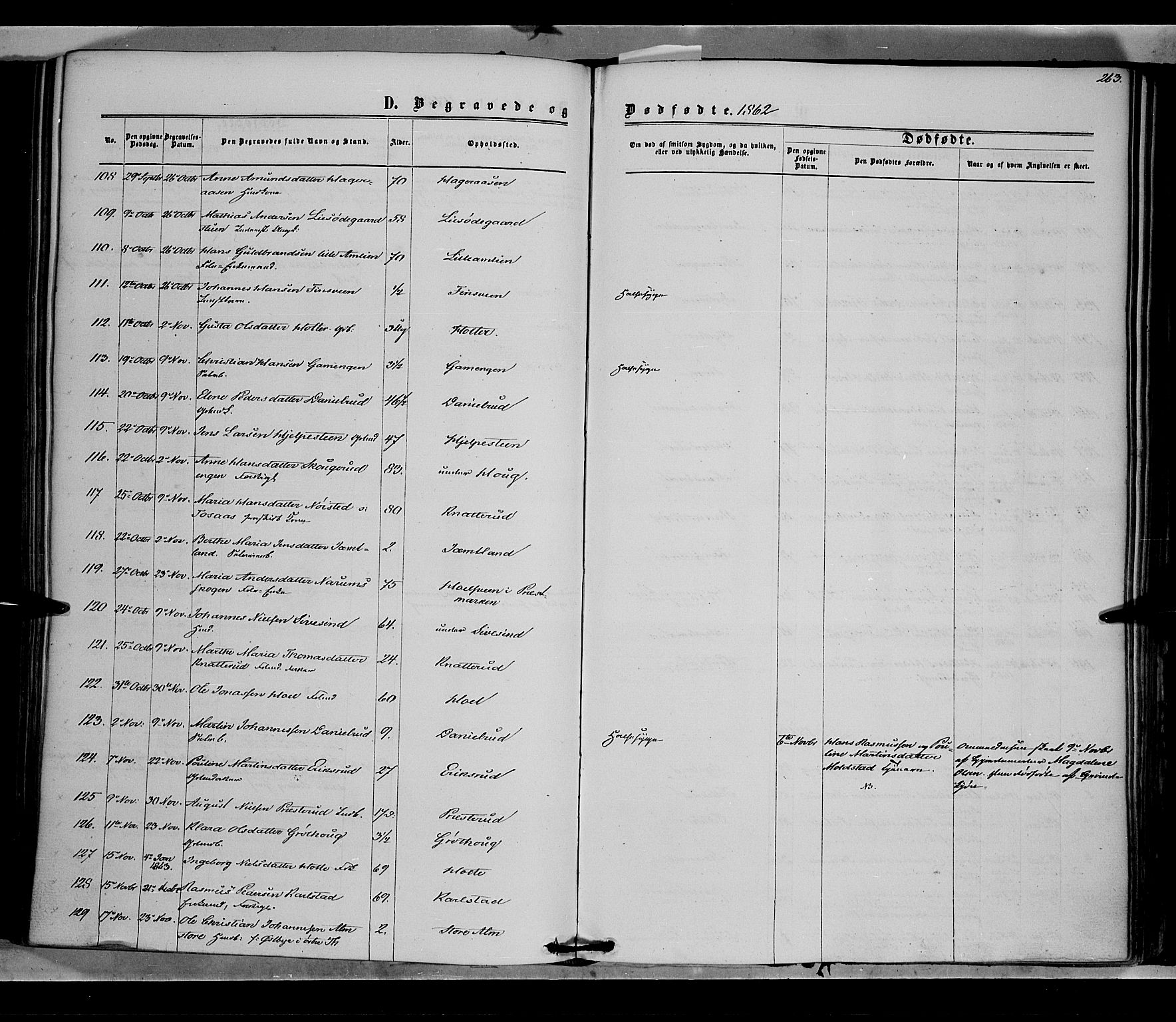 Vestre Toten prestekontor, SAH/PREST-108/H/Ha/Haa/L0007: Parish register (official) no. 7, 1862-1869, p. 263