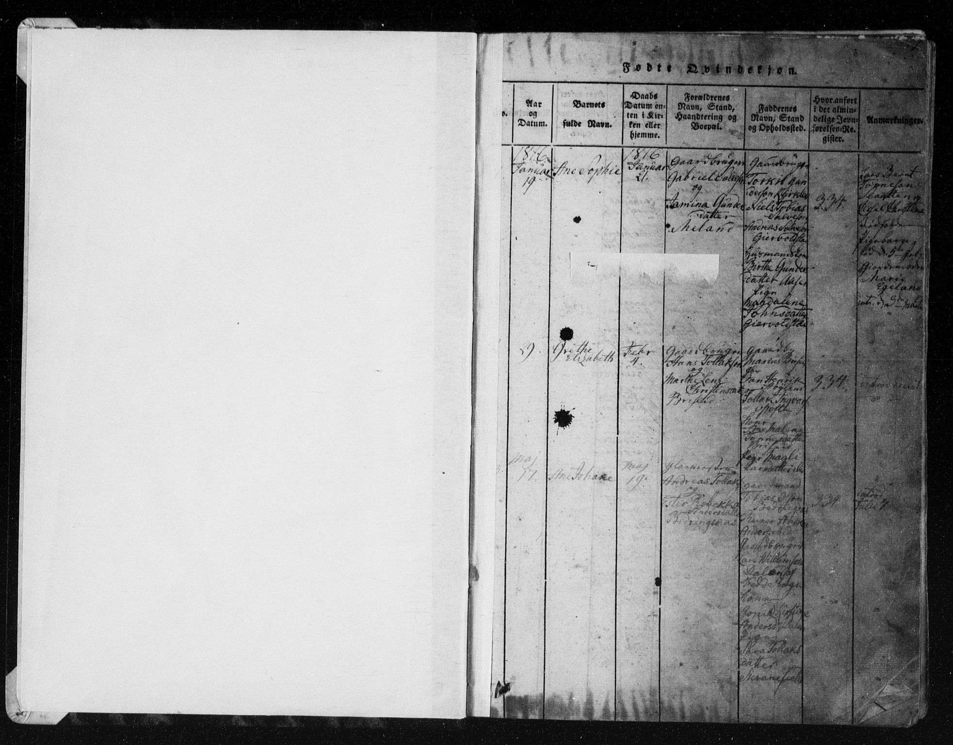 Herad sokneprestkontor, AV/SAK-1111-0018/F/Fa/Faa/L0003: Parish register (official) no. A 3, 1816-1844, p. 1