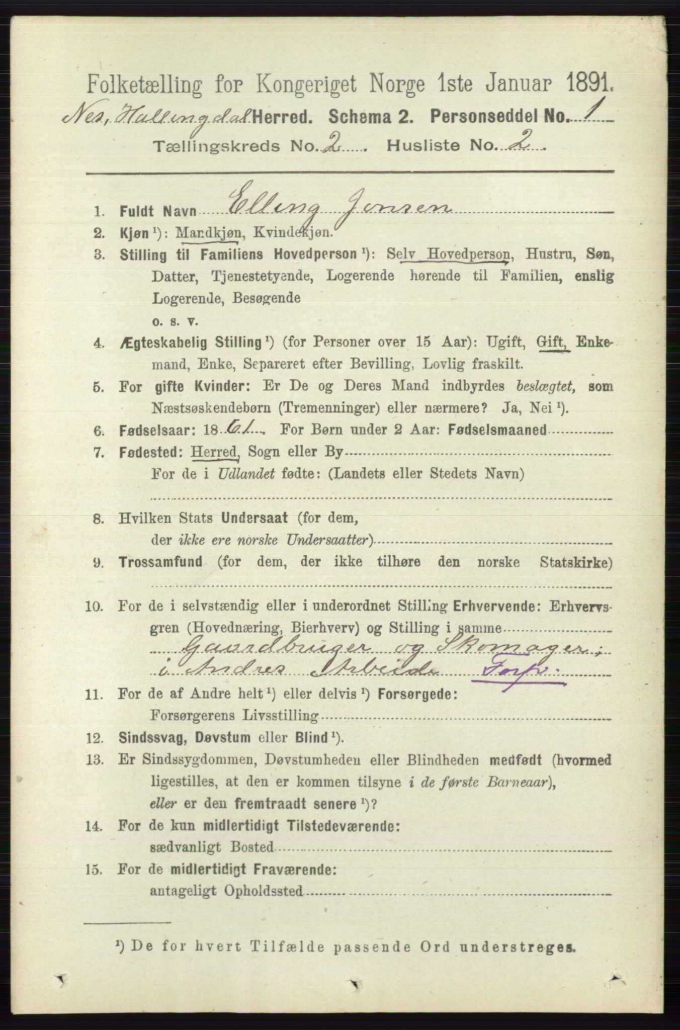 RA, 1891 census for 0616 Nes, 1891, p. 997