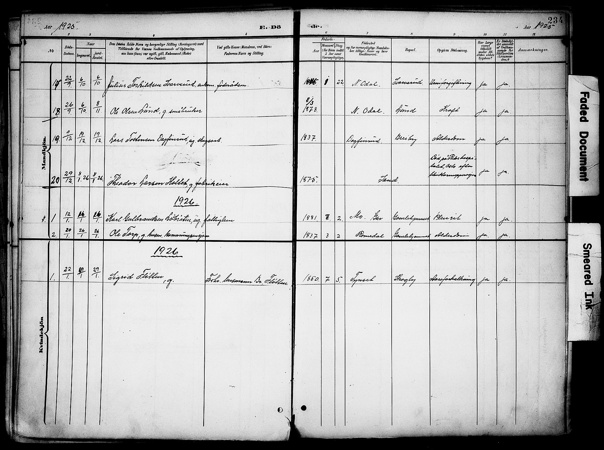 Nord-Odal prestekontor, SAH/PREST-032/H/Ha/Haa/L0007: Parish register (official) no. 7, 1902-1926, p. 234