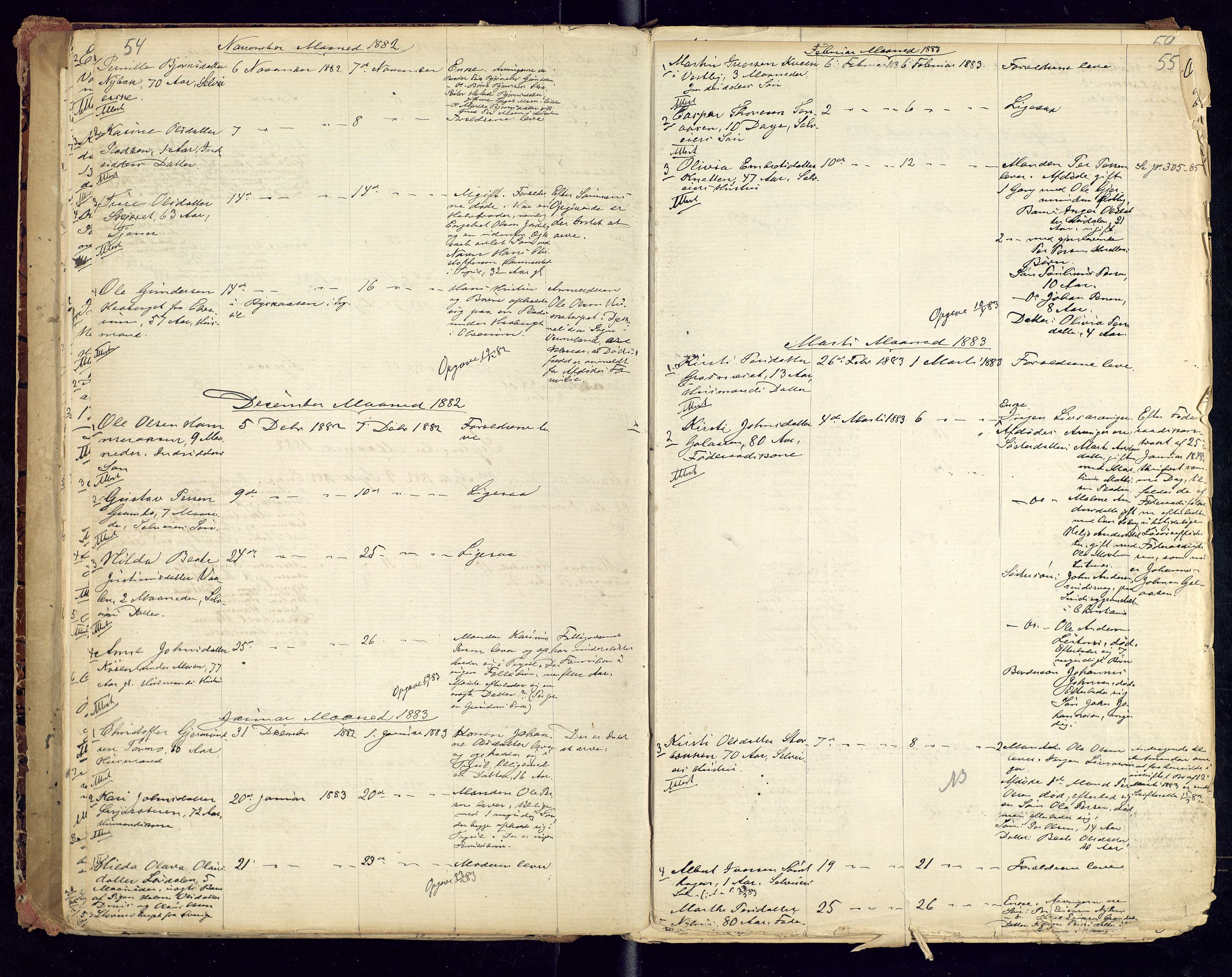 Trysil lensmannskontor, AV/SAH-LHT-026/H/Ha/L0001: Dødsfallsprotokoll, 1875-1901, p. 54-55