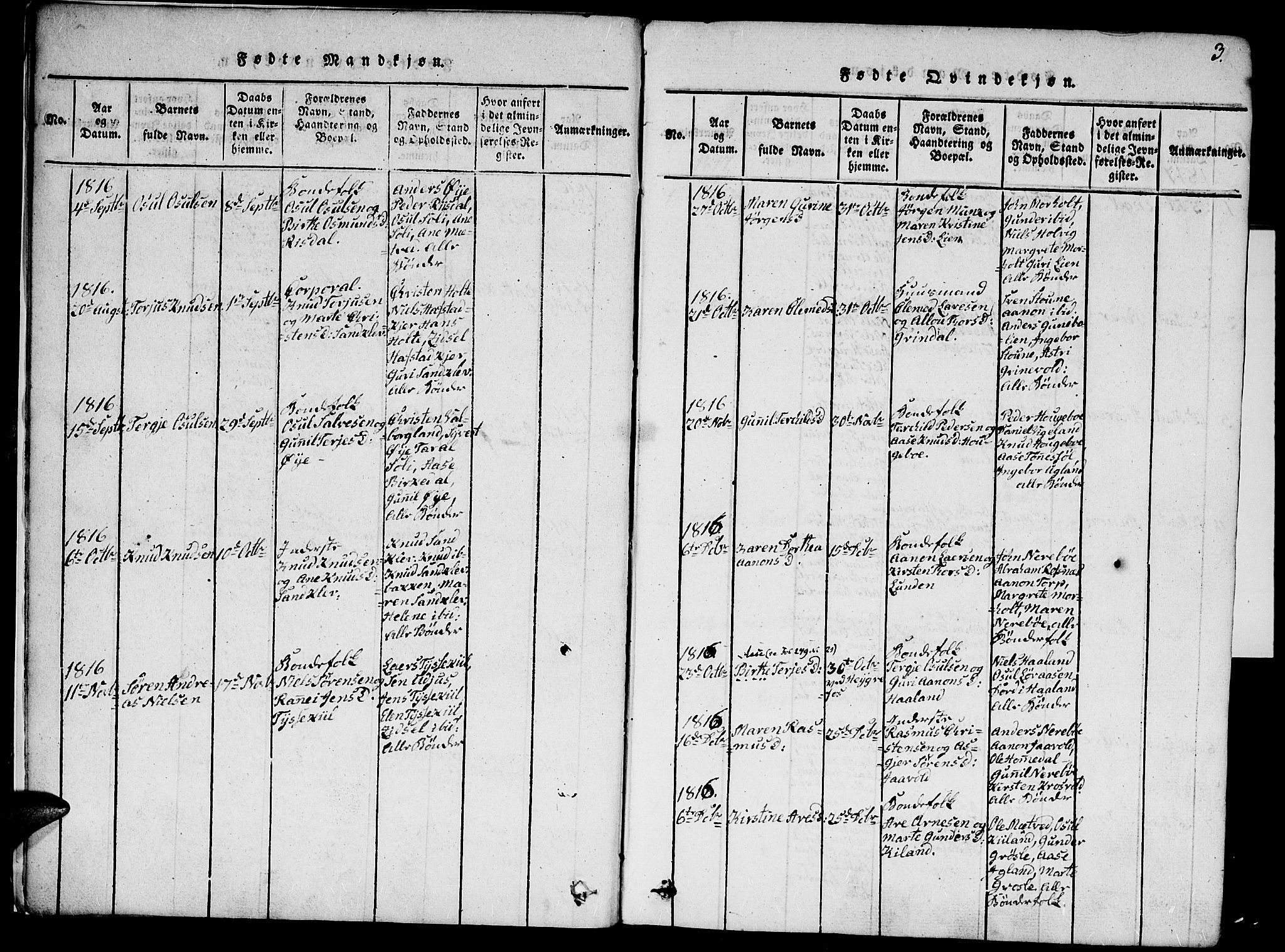 Hommedal sokneprestkontor, SAK/1111-0023/F/Fa/Fab/L0003: Parish register (official) no. A 3, 1815-1848, p. 3