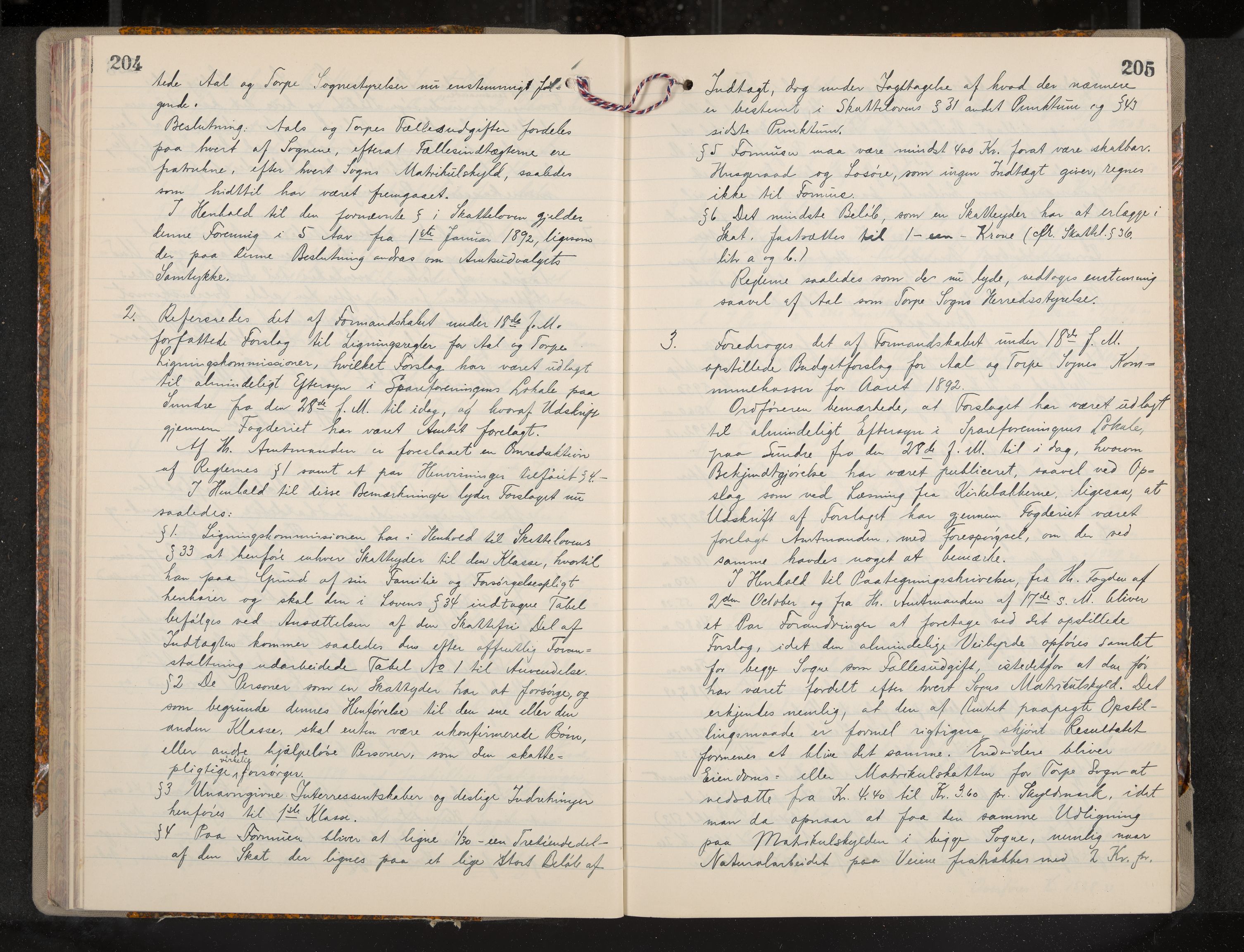 Ål formannskap og sentraladministrasjon, IKAK/0619021/A/Aa/L0004: Utskrift av møtebok, 1881-1901, p. 204-205