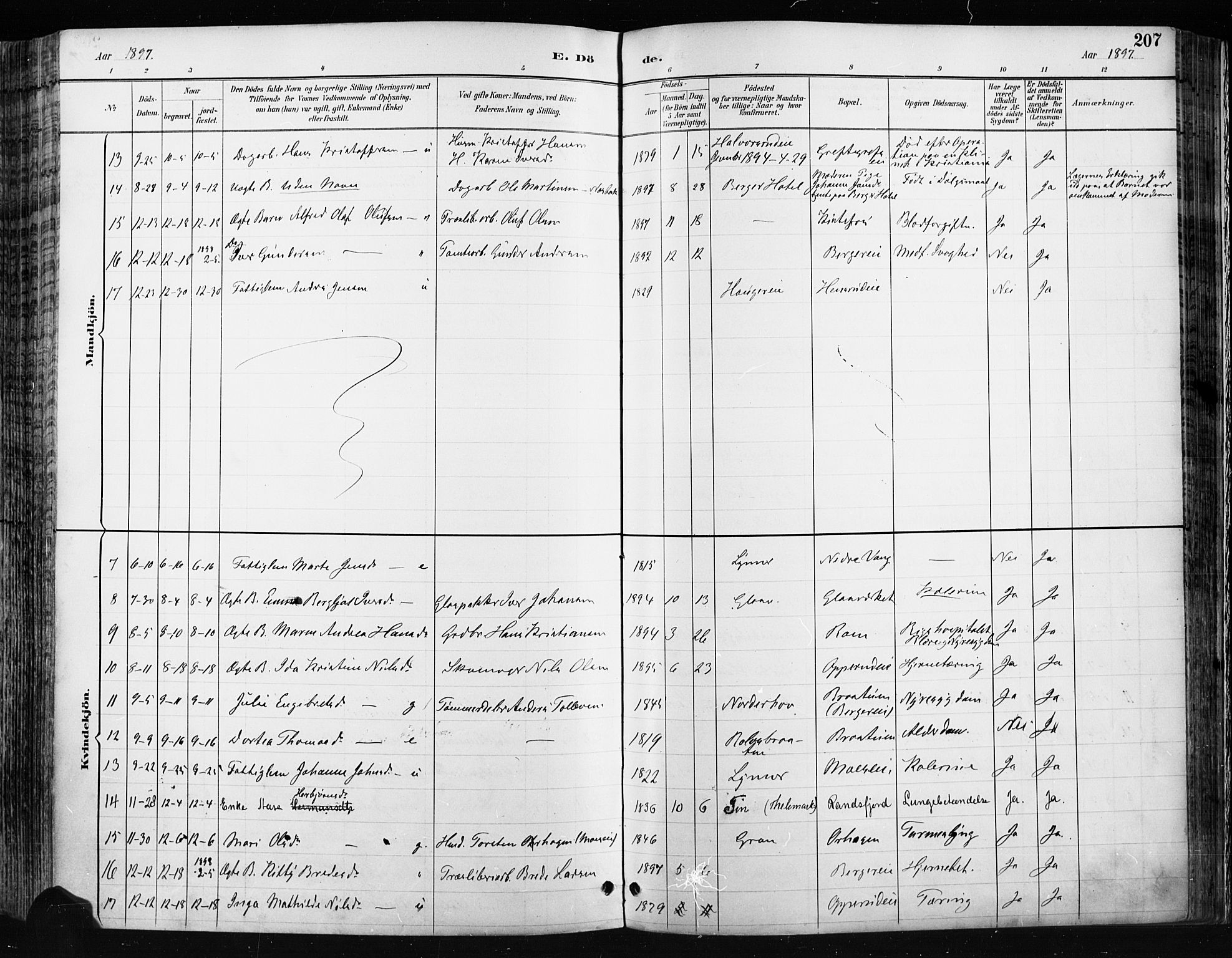 Jevnaker prestekontor, SAH/PREST-116/H/Ha/Haa/L0009: Parish register (official) no. 9, 1891-1901, p. 207