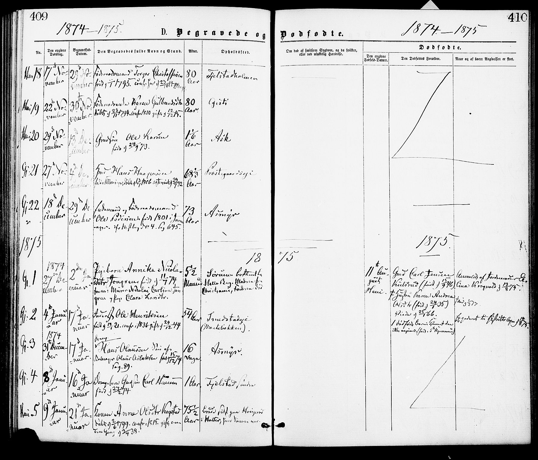 Gjerdrum prestekontor Kirkebøker, AV/SAO-A-10412b/F/Fa/L0008: Parish register (official) no. I 8, 1867-1880, p. 409-410