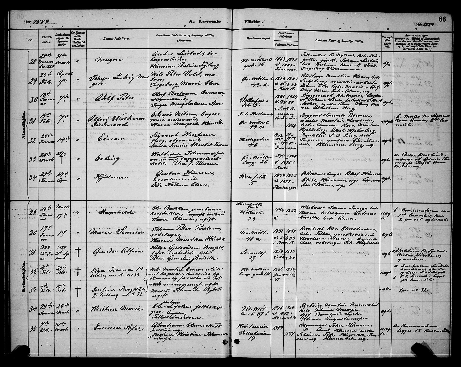 Ministerialprotokoller, klokkerbøker og fødselsregistre - Sør-Trøndelag, SAT/A-1456/604/L0222: Parish register (copy) no. 604C05, 1886-1895, p. 66