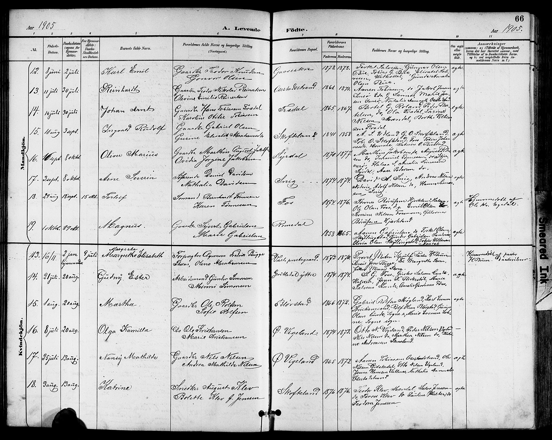 Sør-Audnedal sokneprestkontor, AV/SAK-1111-0039/F/Fb/Fbb/L0006: Parish register (copy) no. B 6, 1893-1915, p. 66