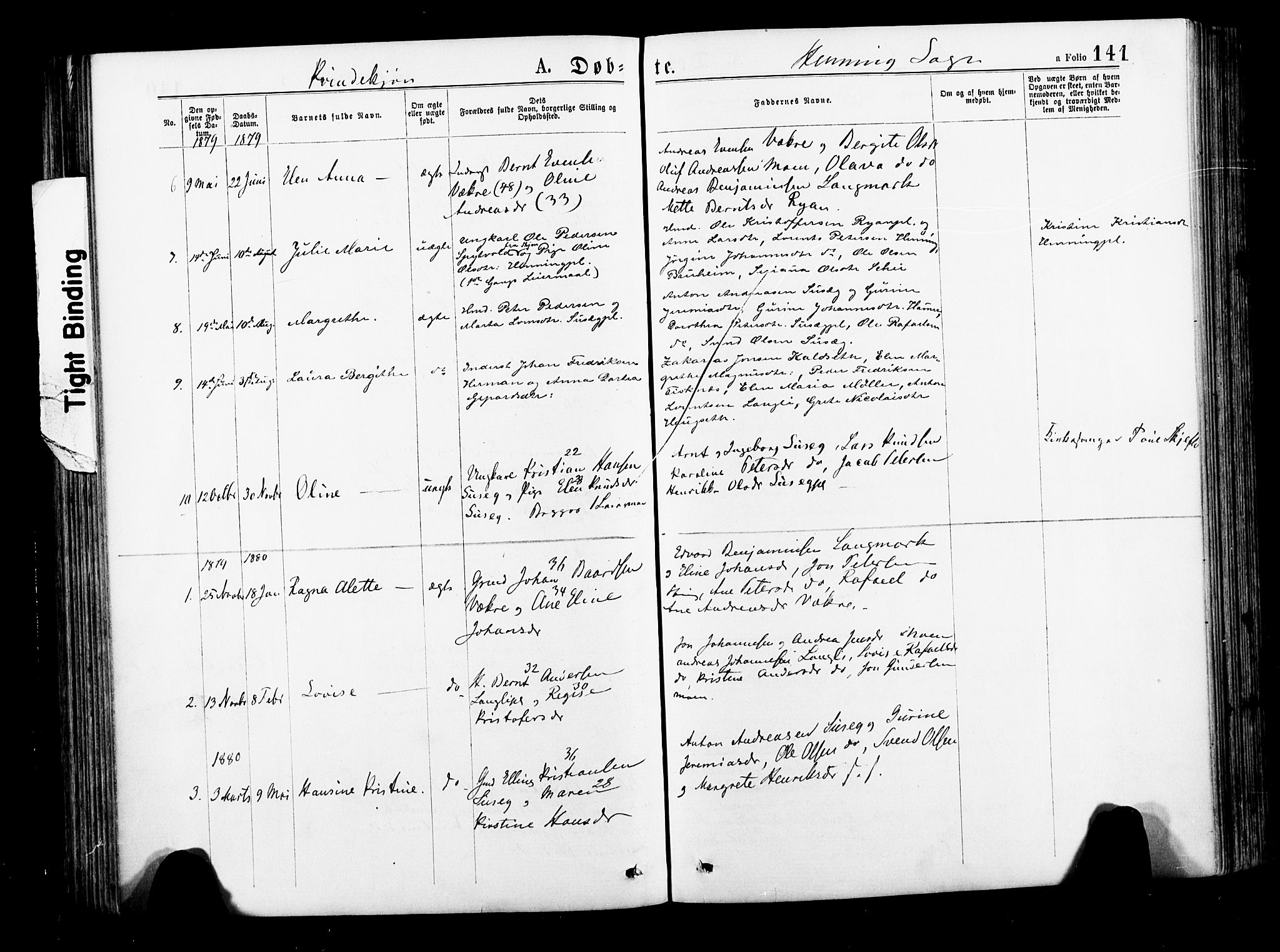 Ministerialprotokoller, klokkerbøker og fødselsregistre - Nord-Trøndelag, SAT/A-1458/735/L0348: Parish register (official) no. 735A09 /3, 1873-1883, p. 141